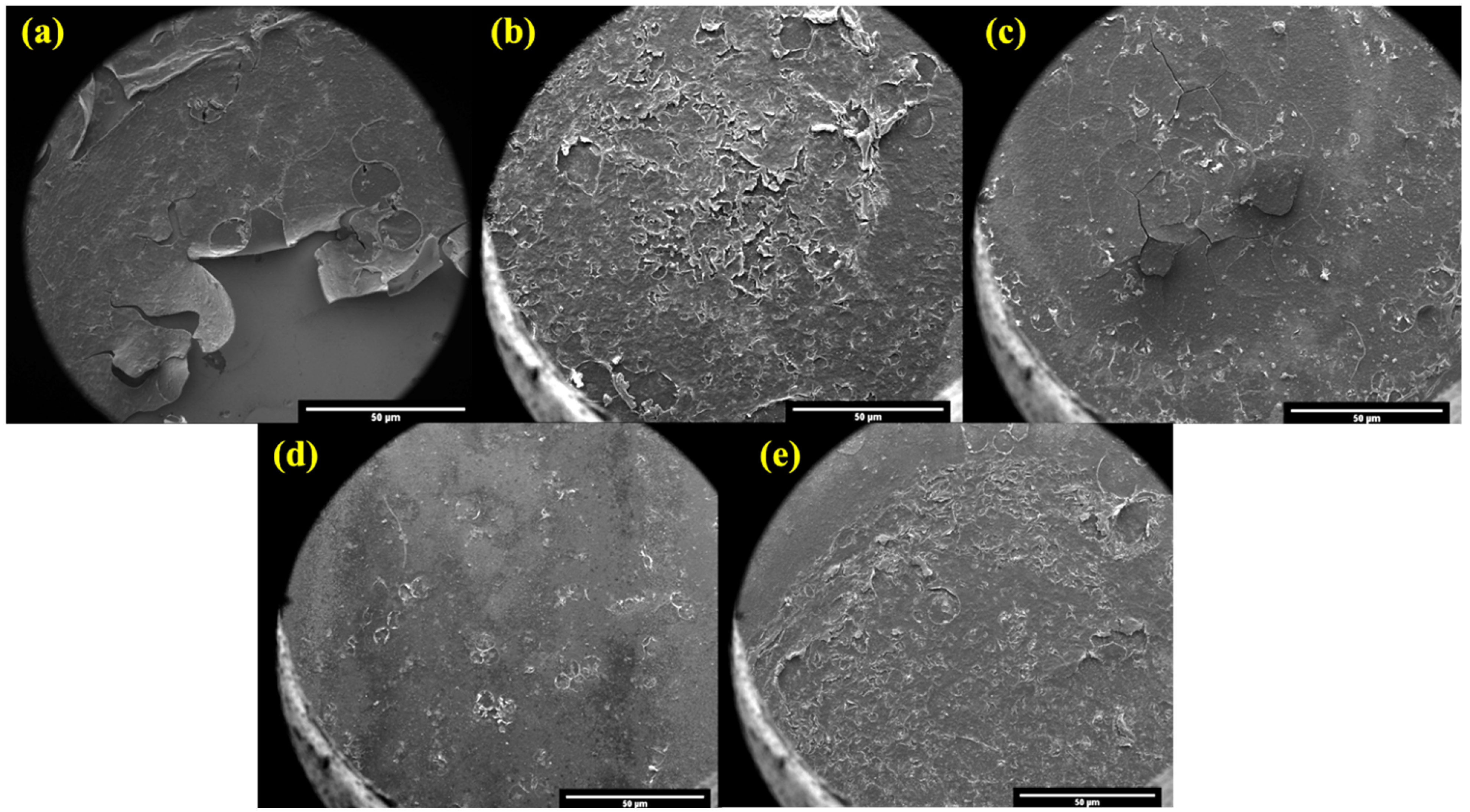 Coatings 14 01522 g014