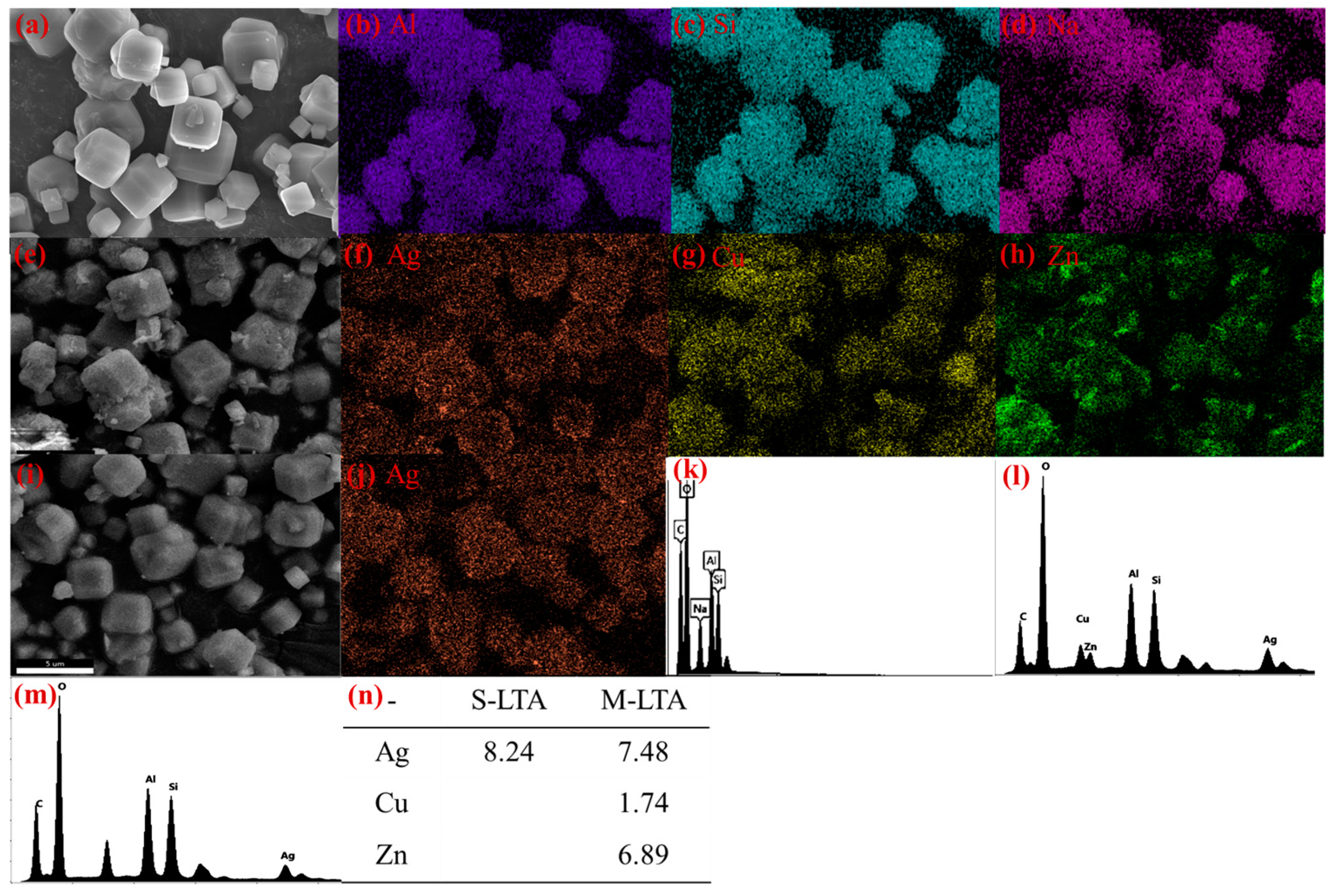 Coatings 14 01524 g001