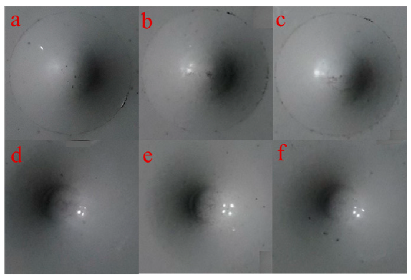 Coatings 14 01524 g004