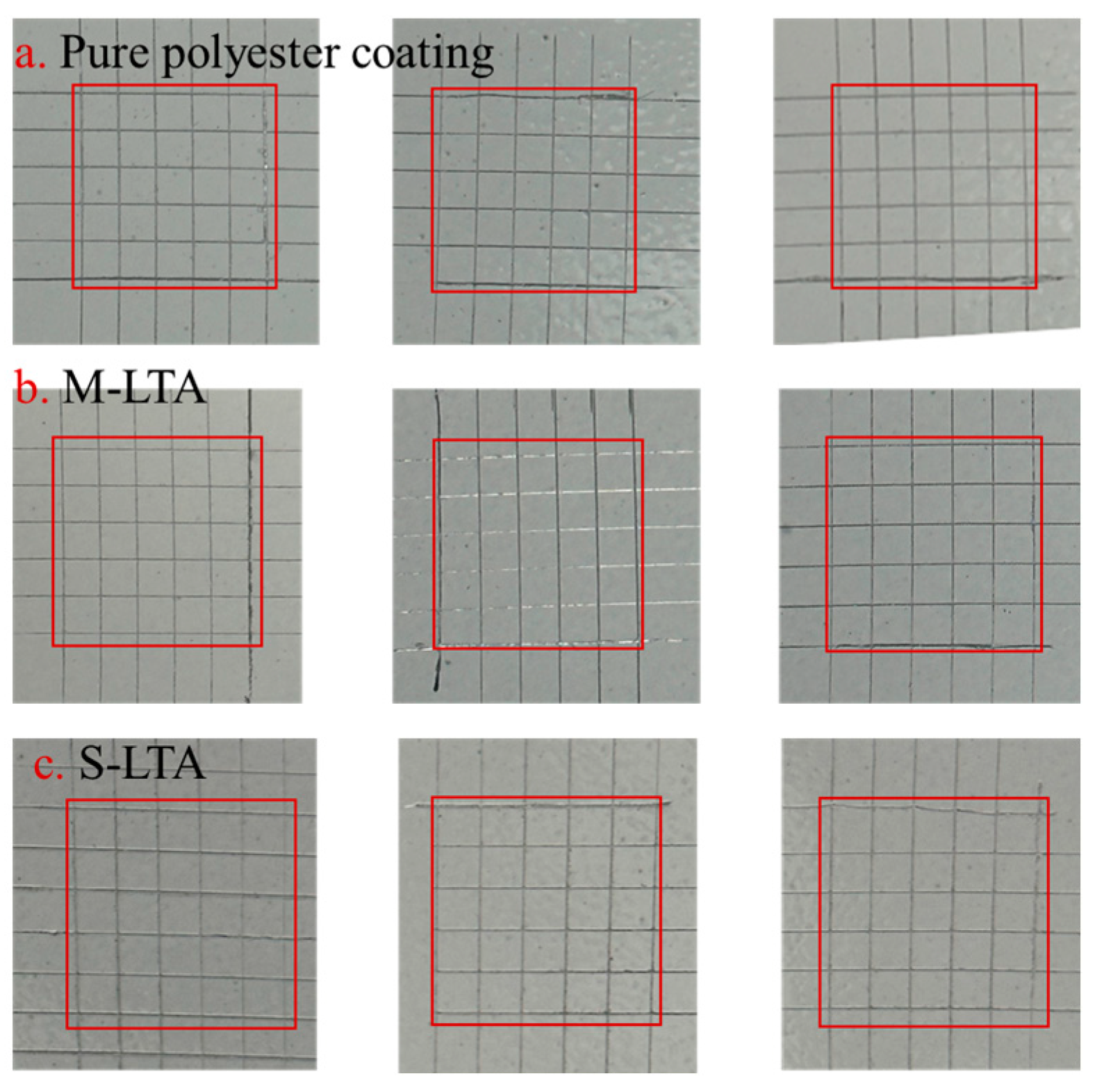 Coatings 14 01524 g005