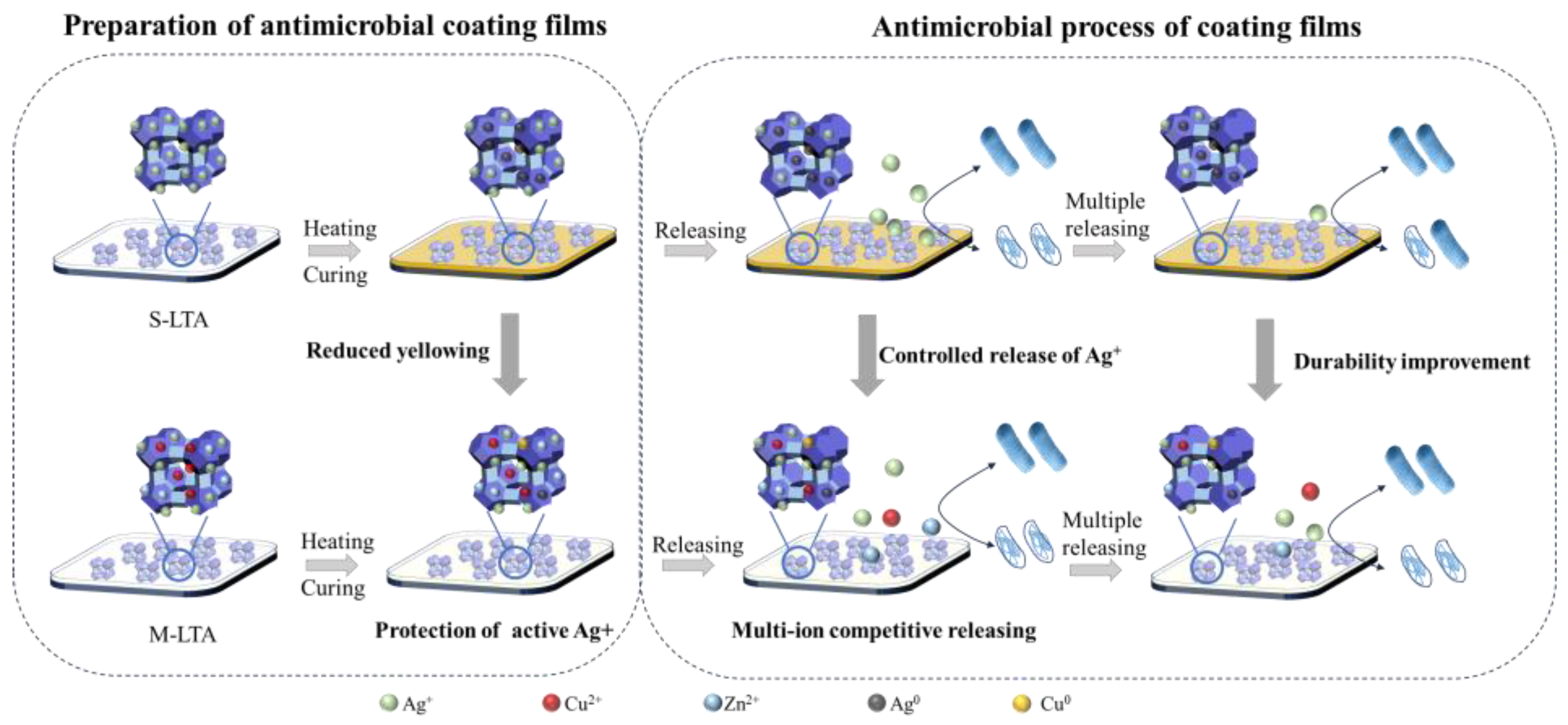 Coatings 14 01524 sch004