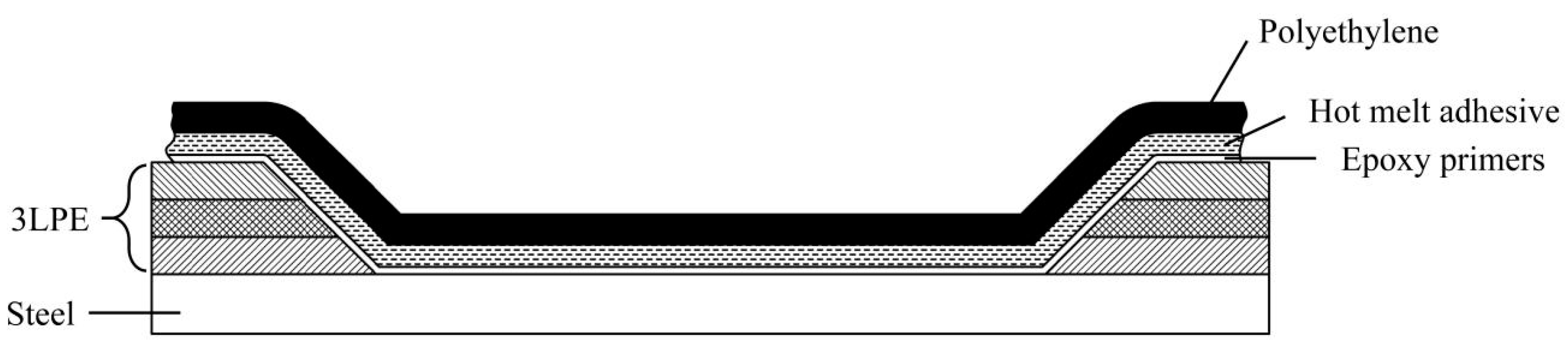 Coatings 14 01526 g009