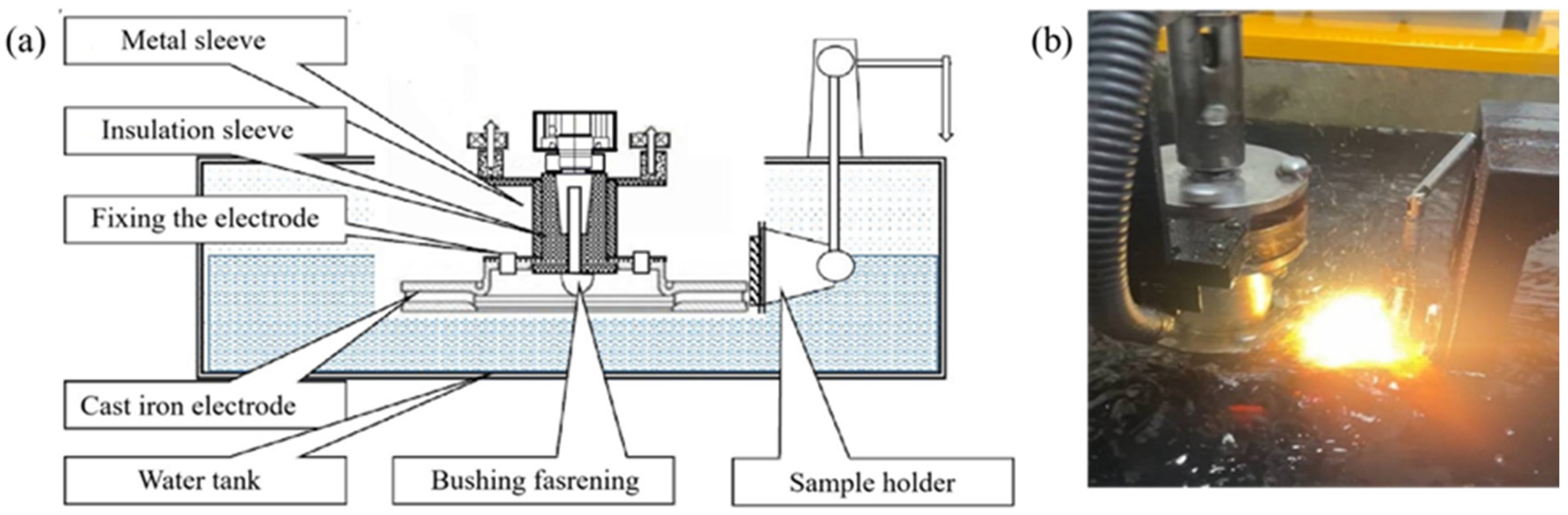 Coatings 14 01529 g002
