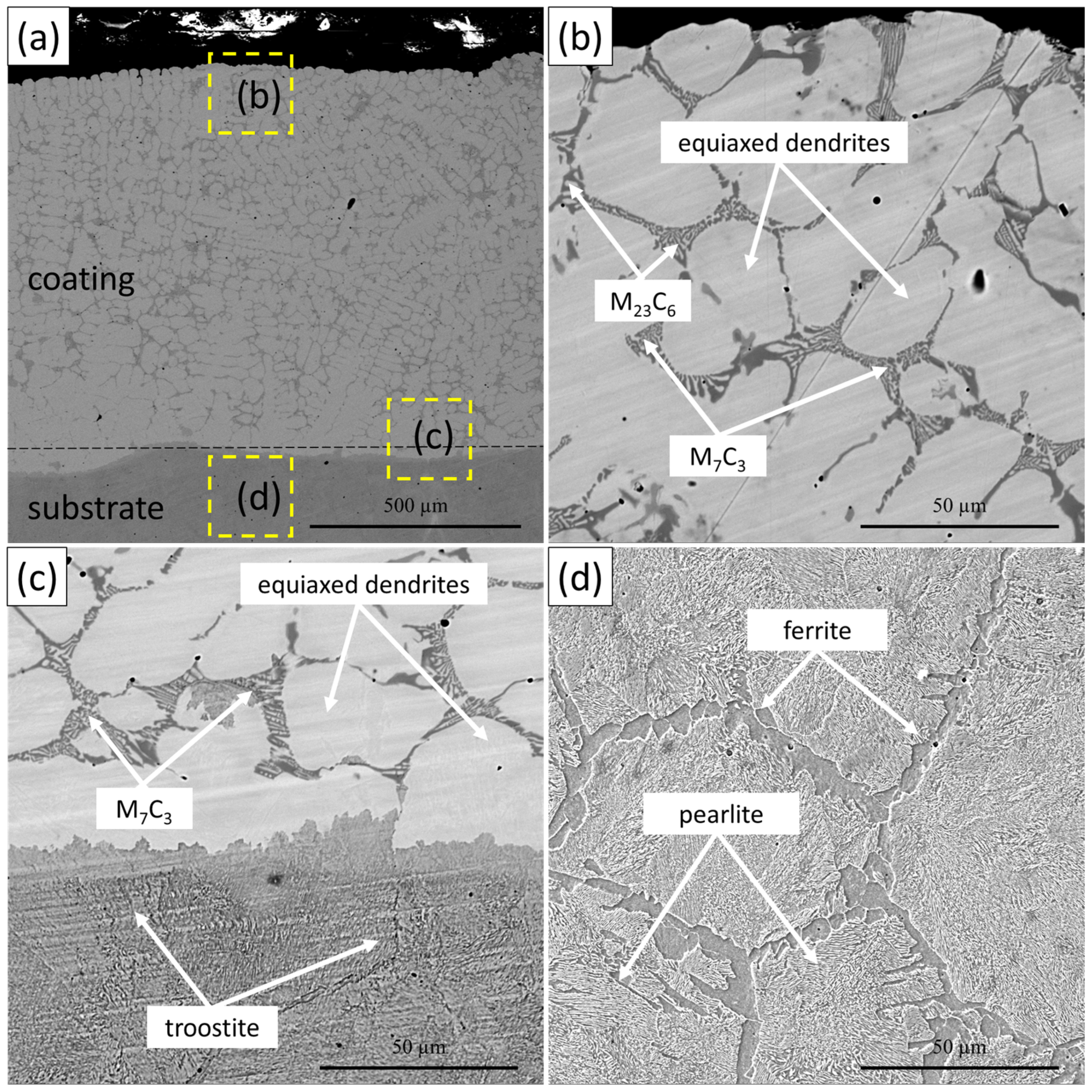 Coatings 14 01529 g005