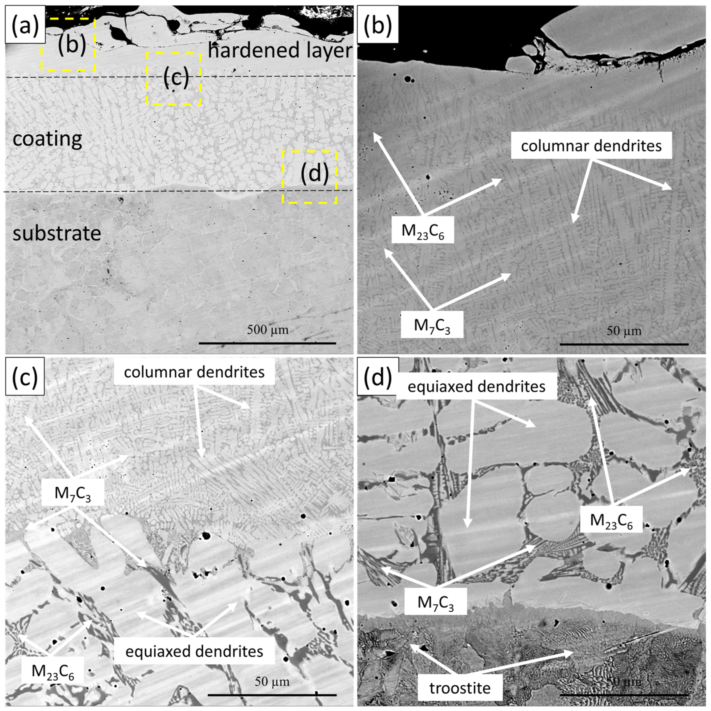 Coatings 14 01529 g006