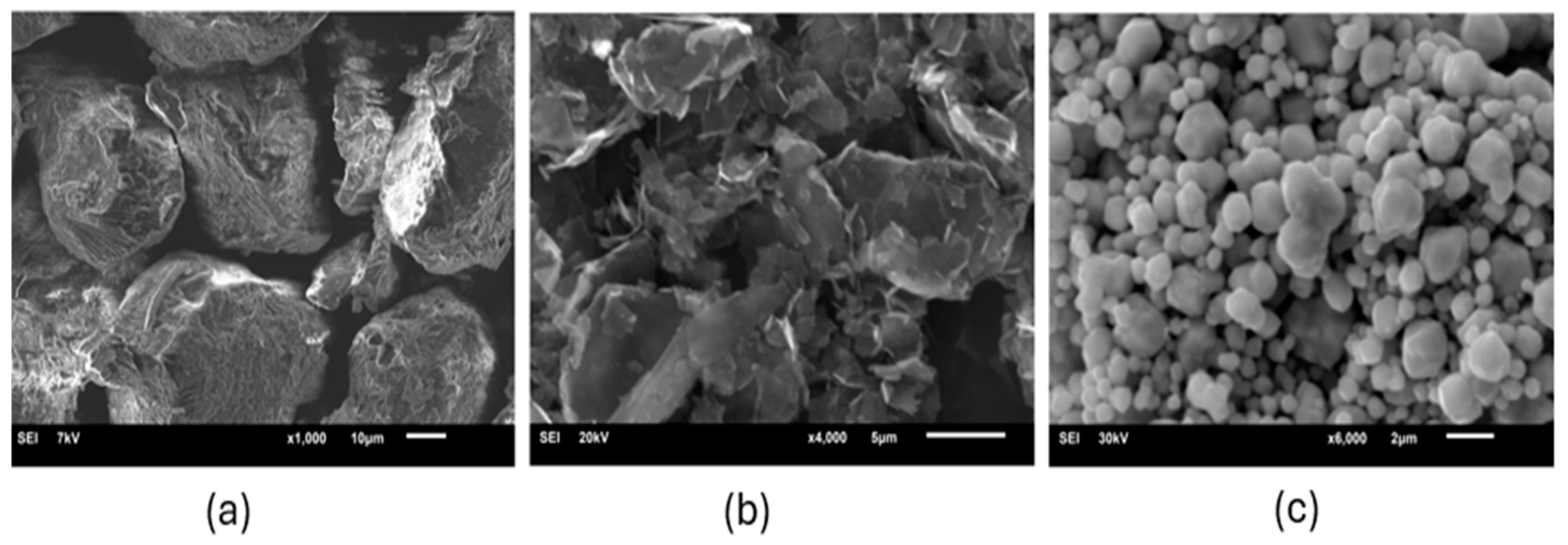 Coatings 14 01540 g006 Coatings 14 01540 g006