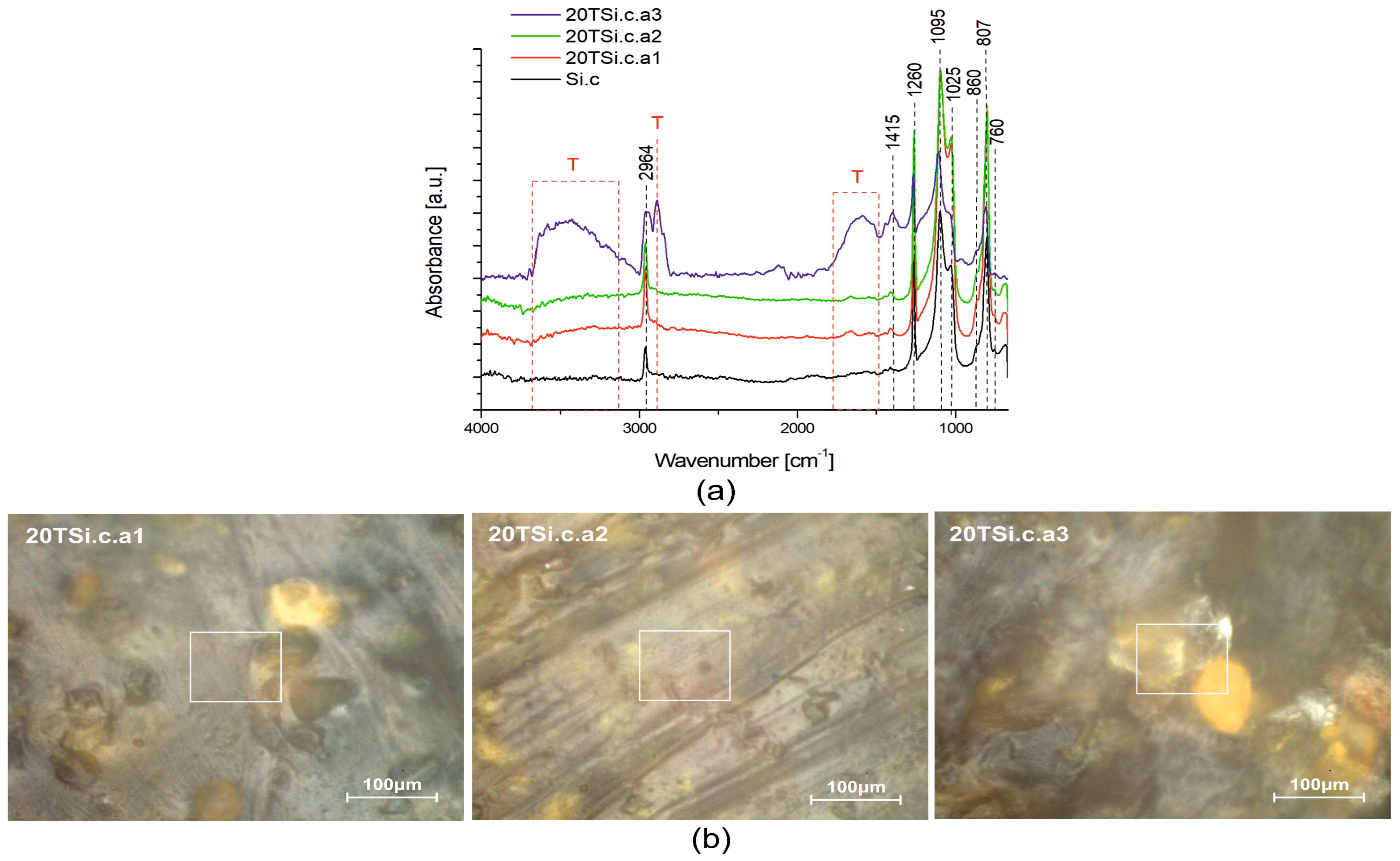 Coatings 14 01540 g012 Coatings 14 01540 g012
