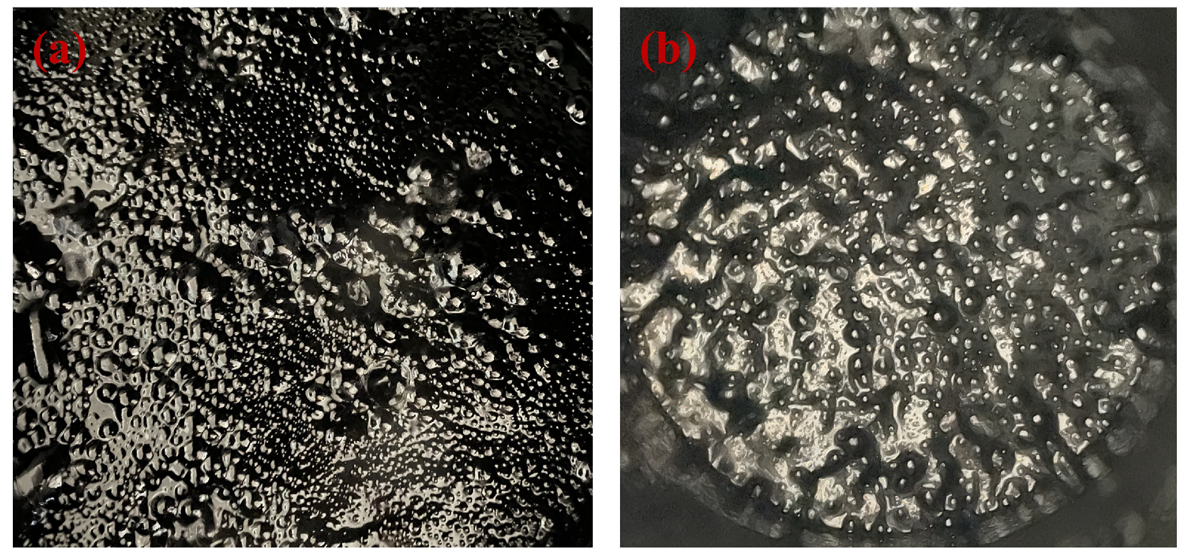 Coatings 14 01541 g002