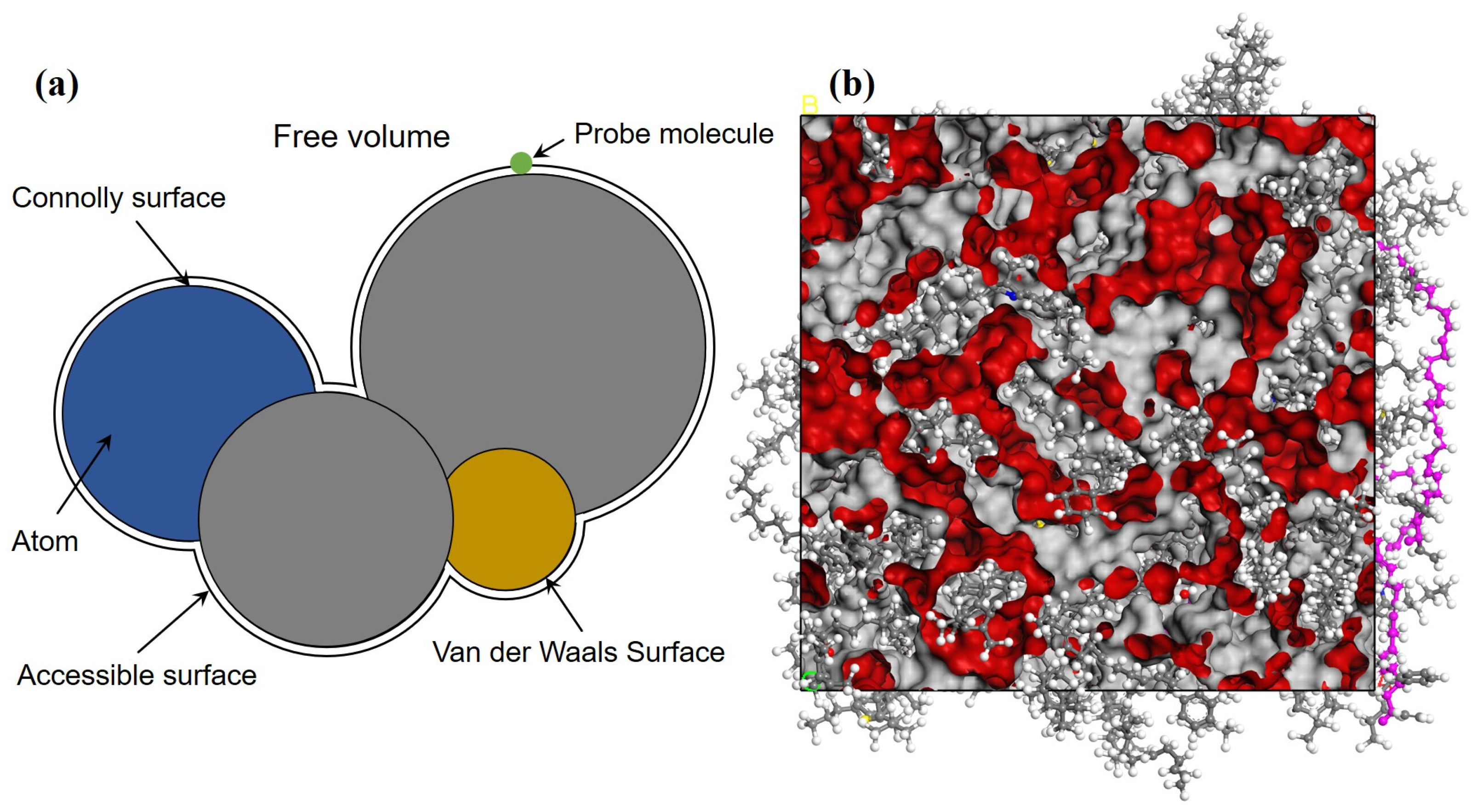 Coatings 14 01541 g005