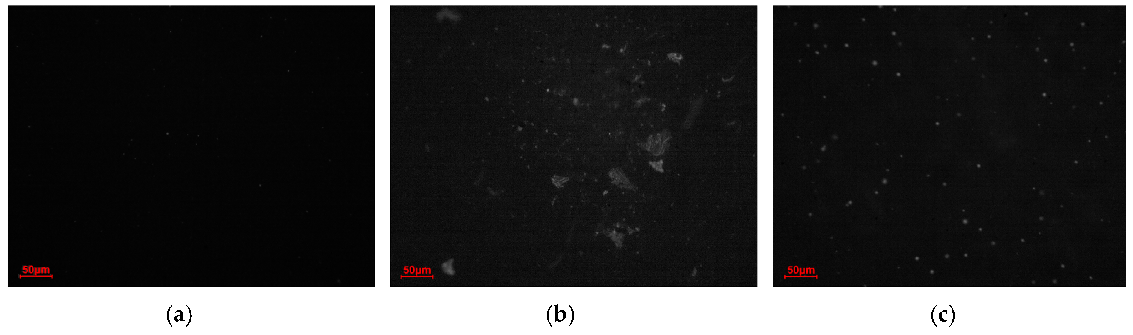 Coatings 14 01541 g007