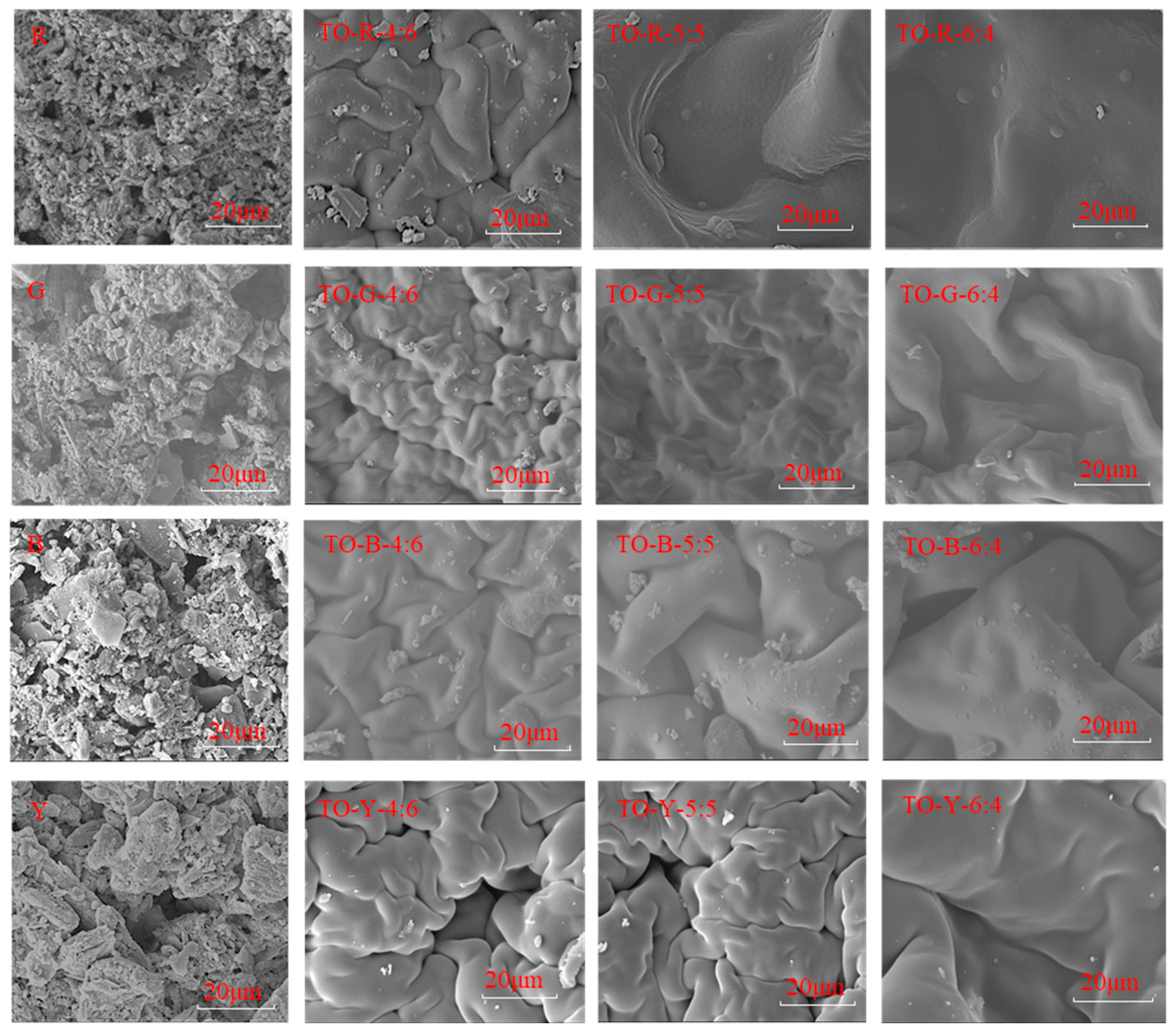 Coatings 14 01545 g004