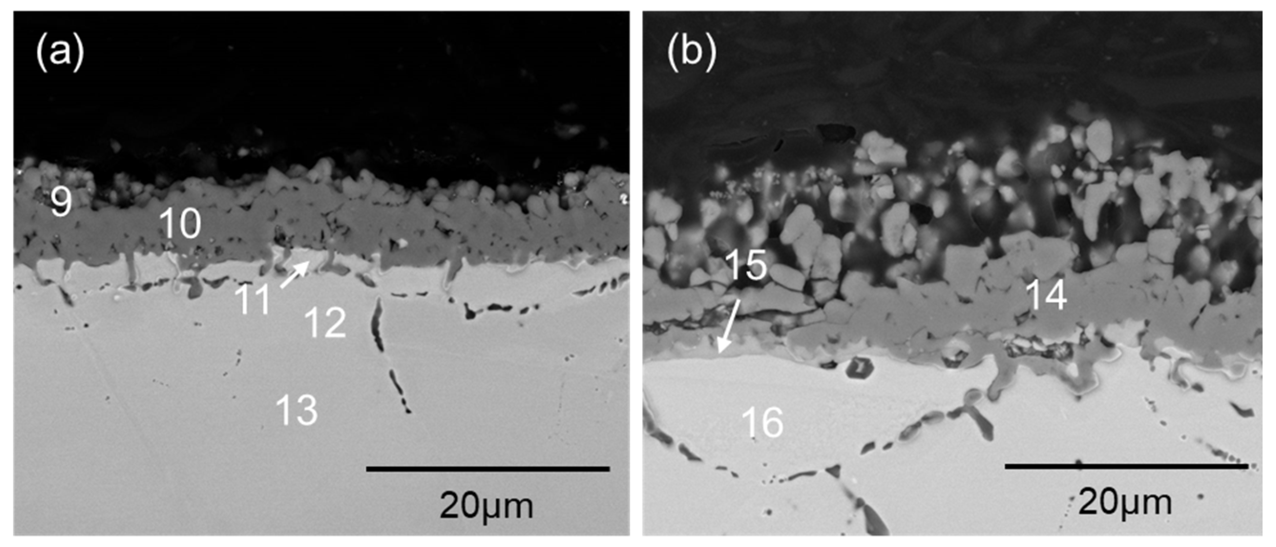 Coatings 14 01550 g008