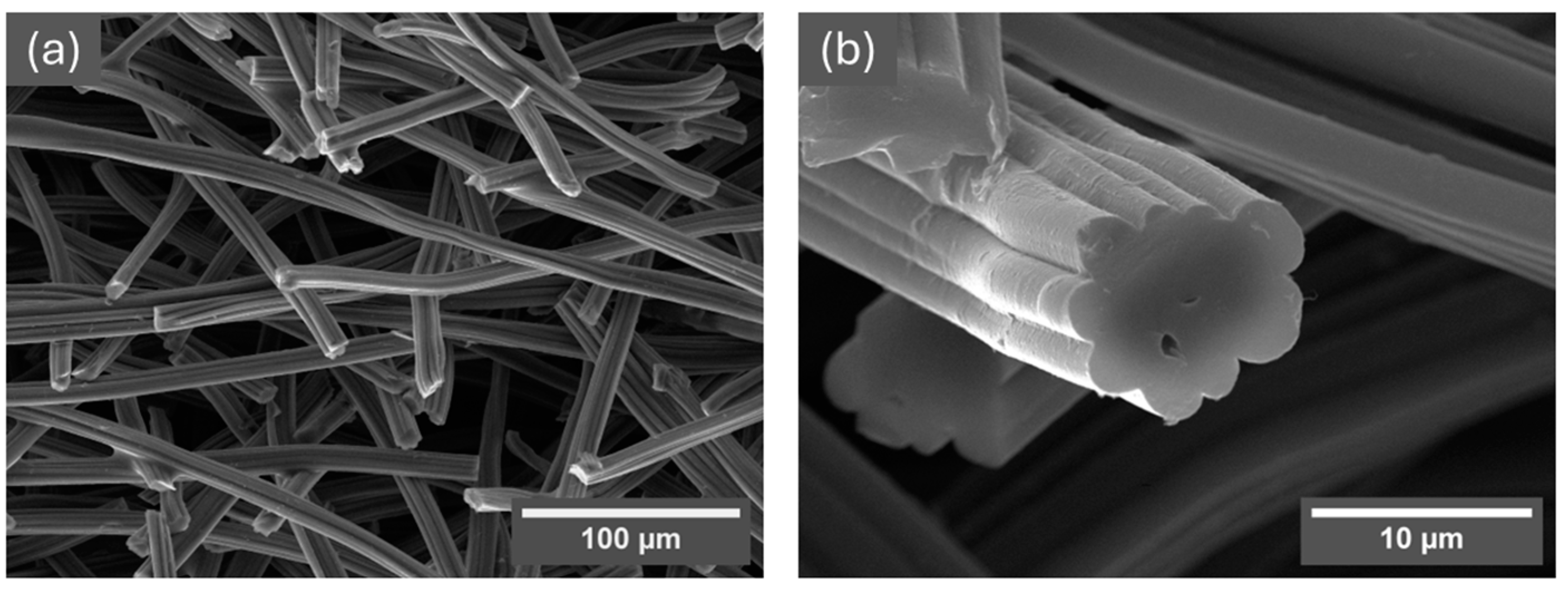 Coatings 14 01551 g002