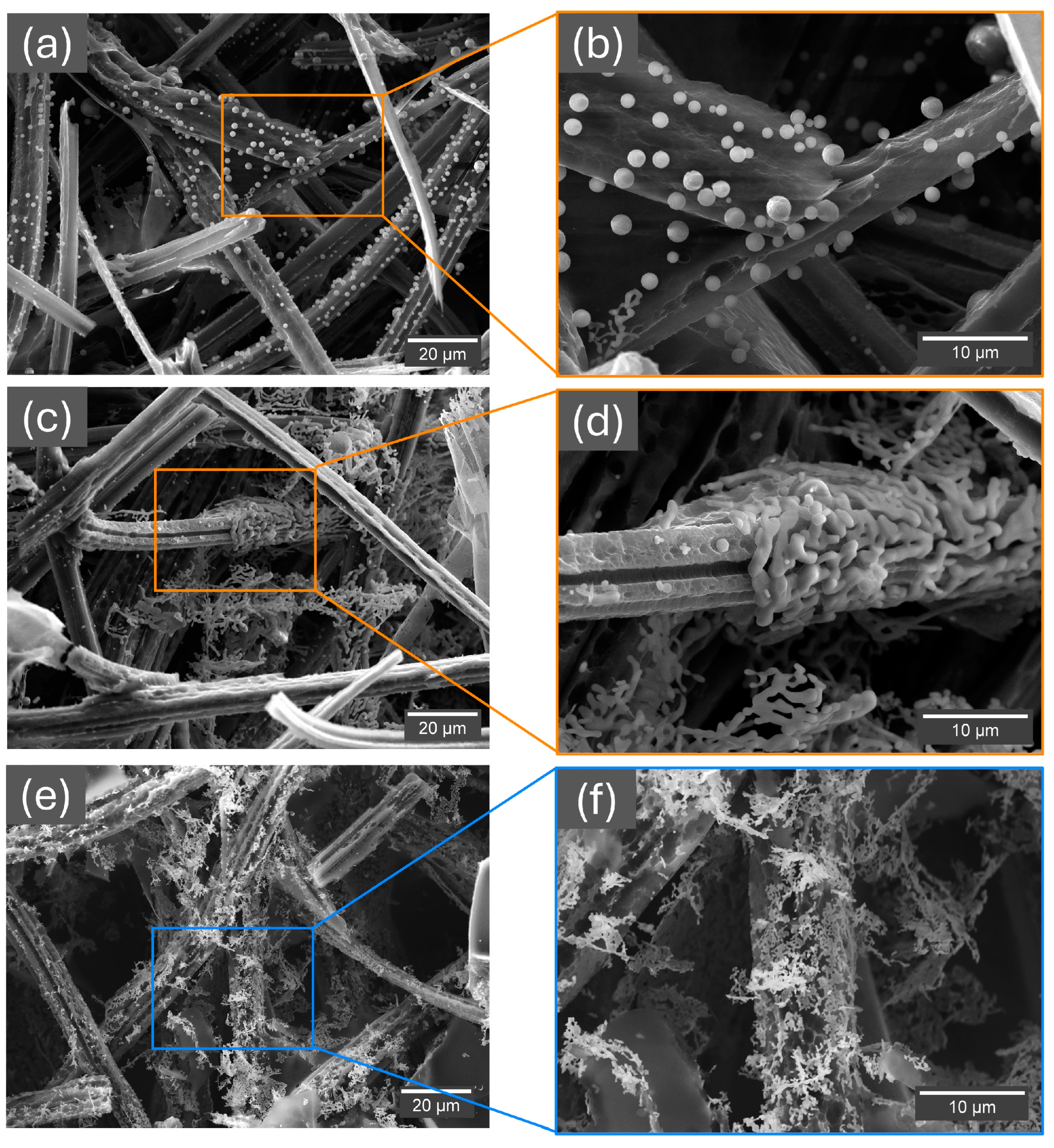 Coatings 14 01551 g010