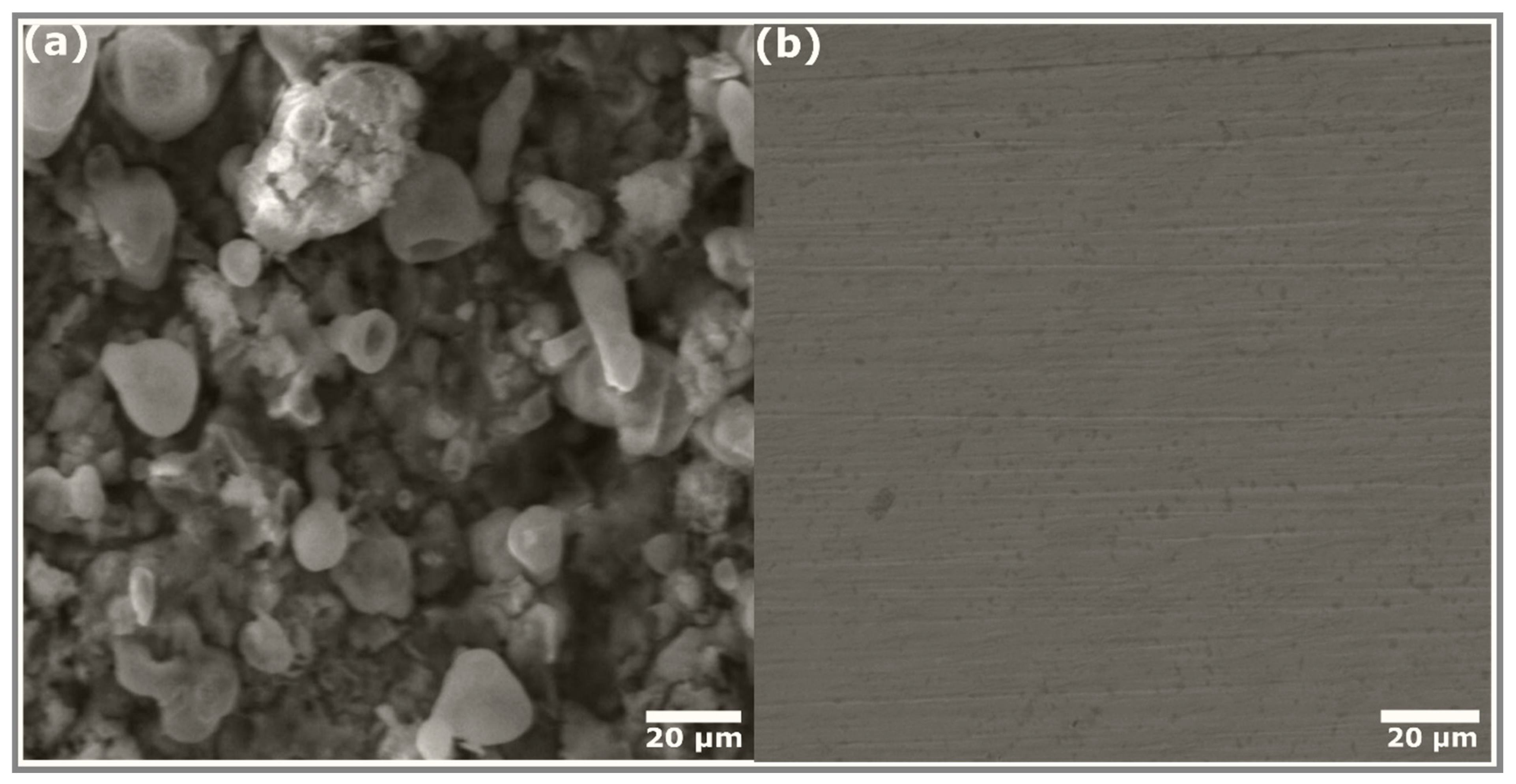 Coatings 14 01556 g004