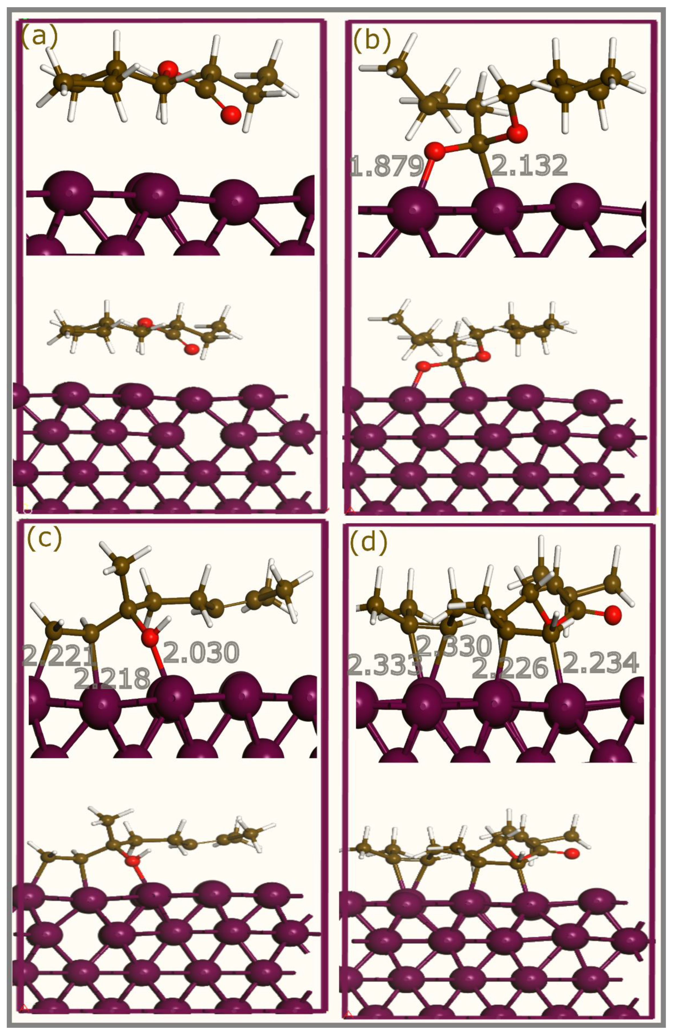 Coatings 14 01556 g007