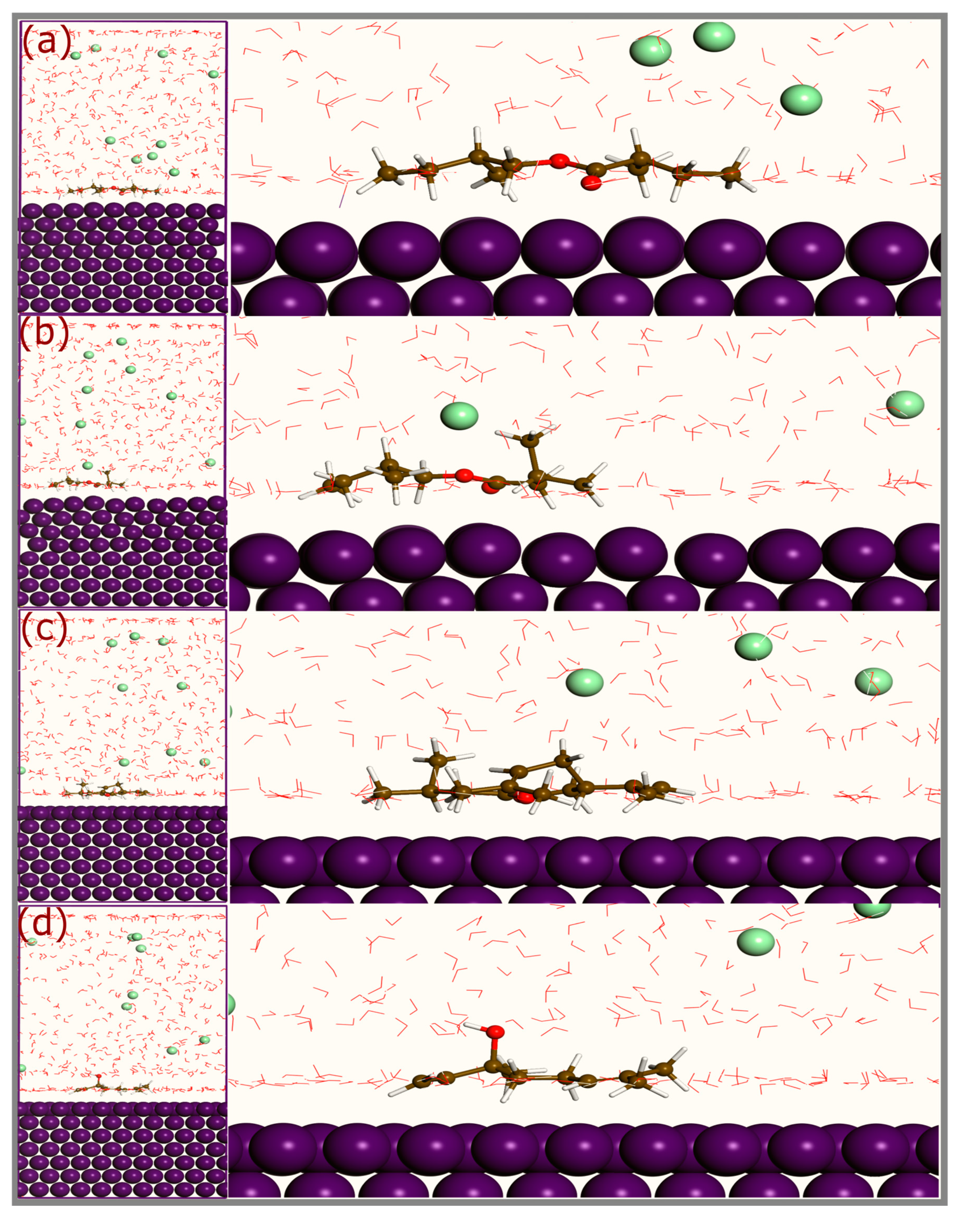 Coatings 14 01556 g010