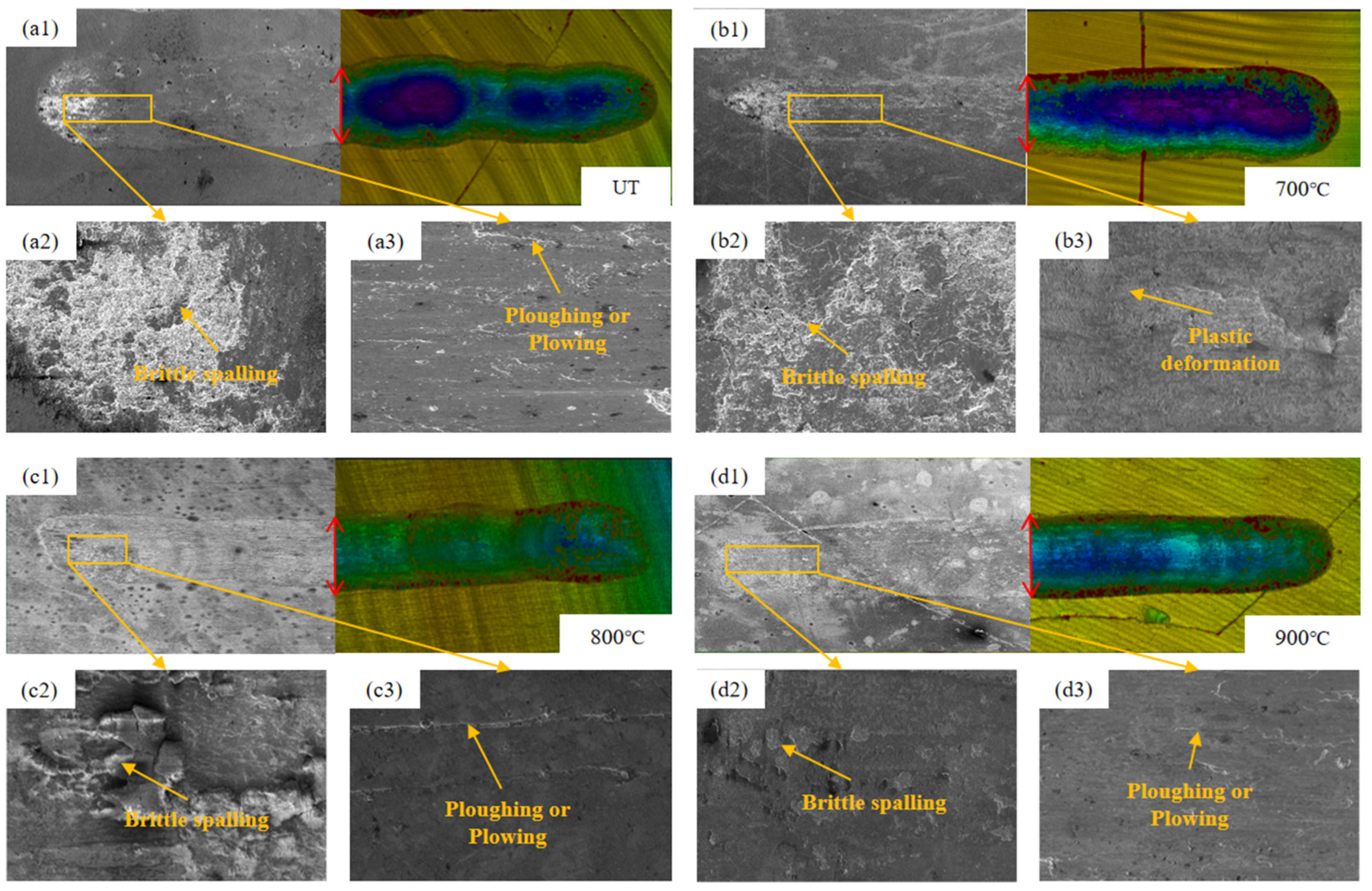Coatings 14 01557 g007