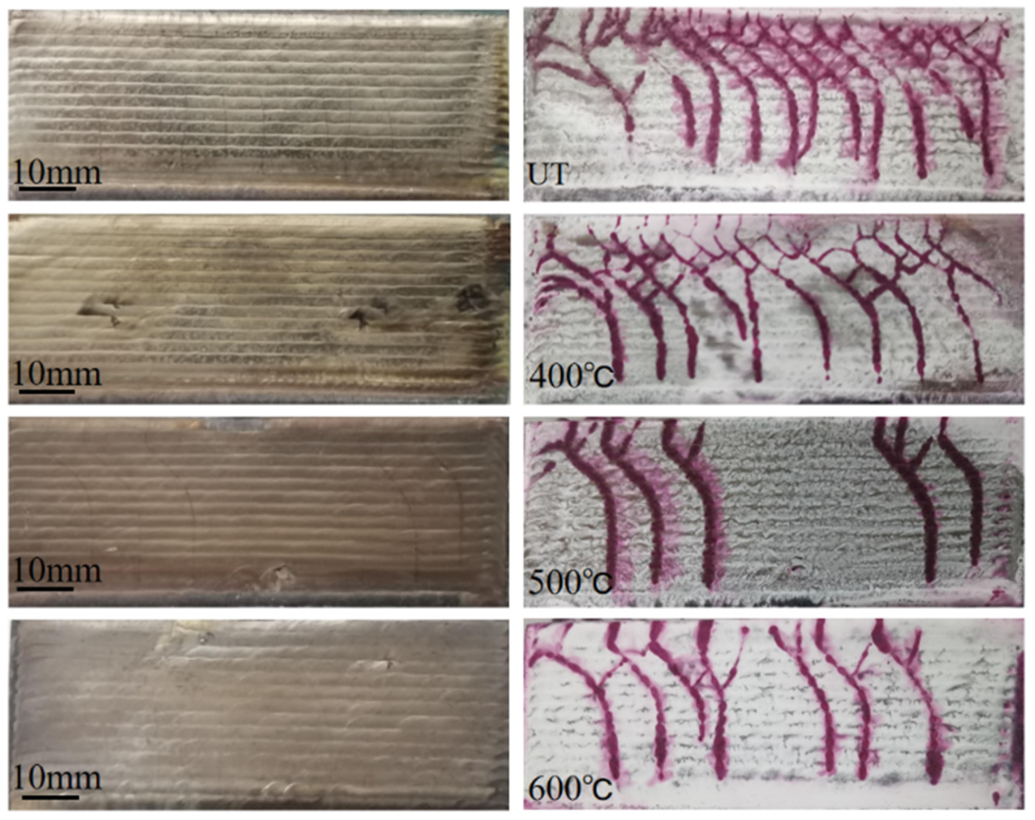Coatings 14 01557 g008