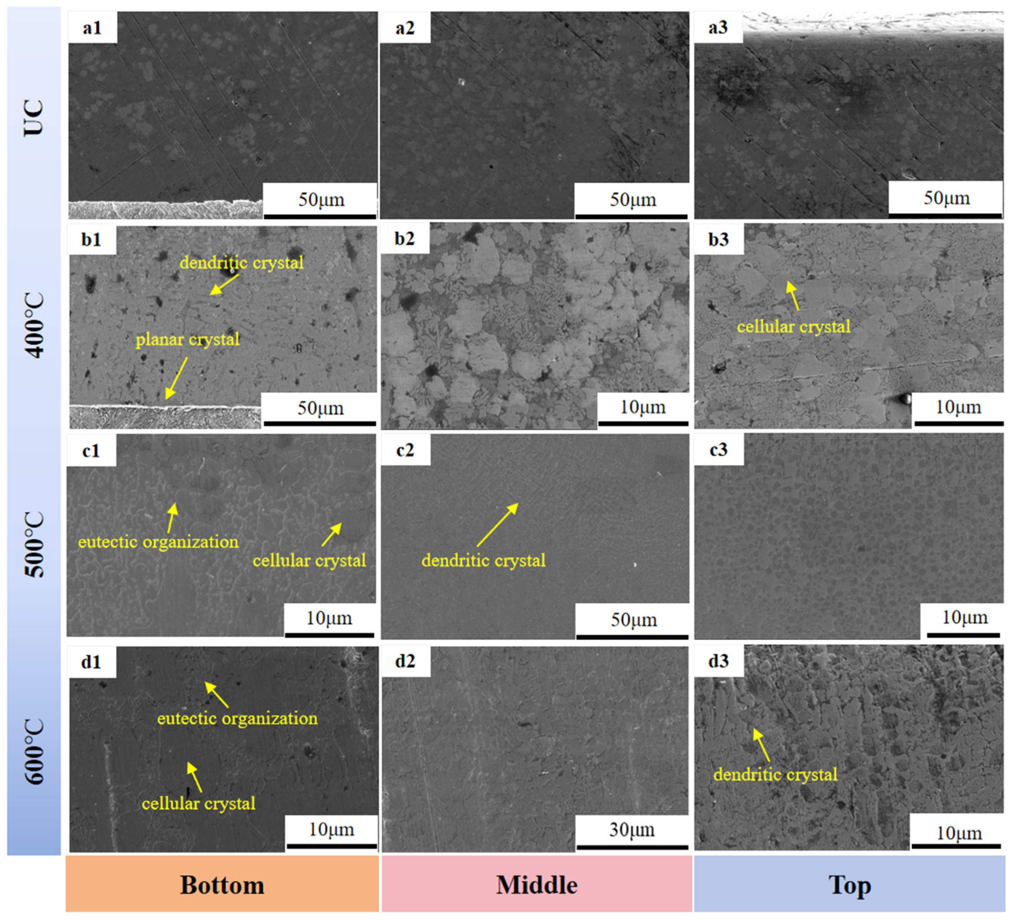 Coatings 14 01557 g009