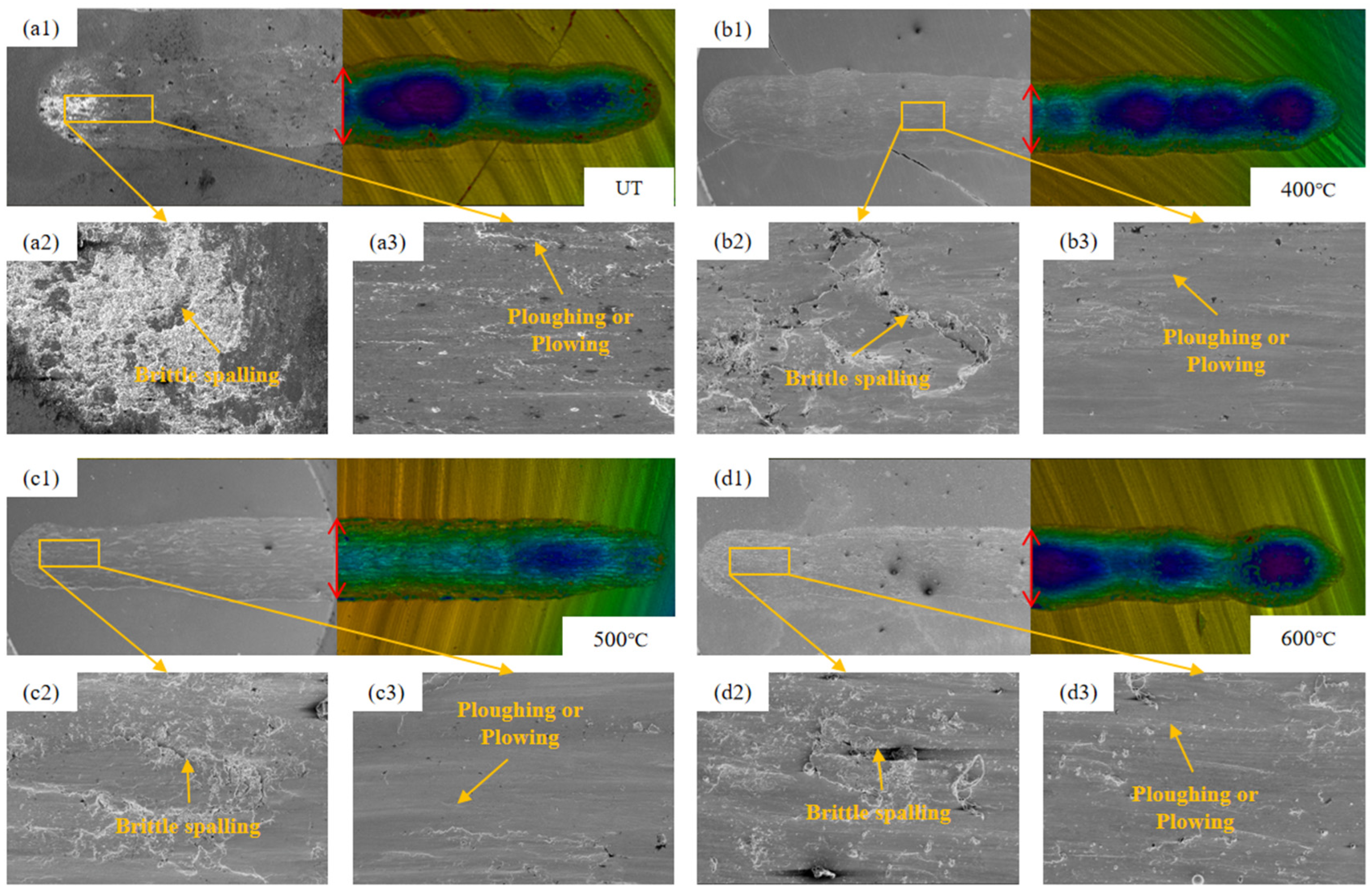 Coatings 14 01557 g013