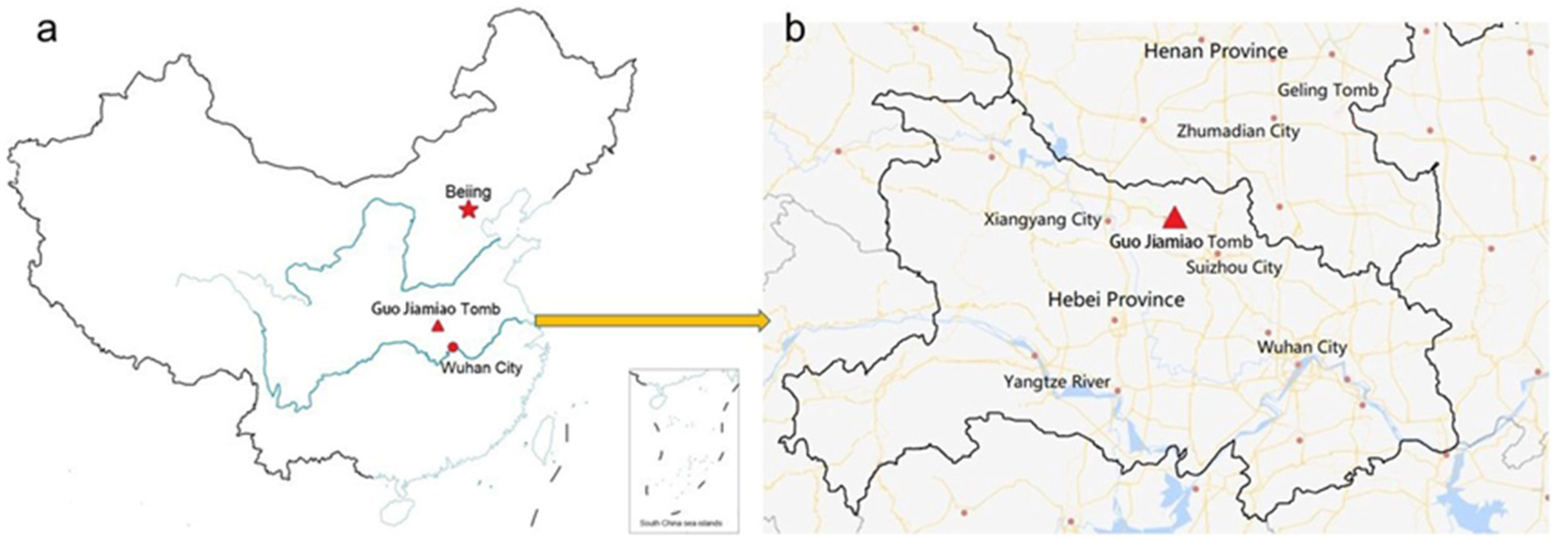 Coatings 14 01559 g001