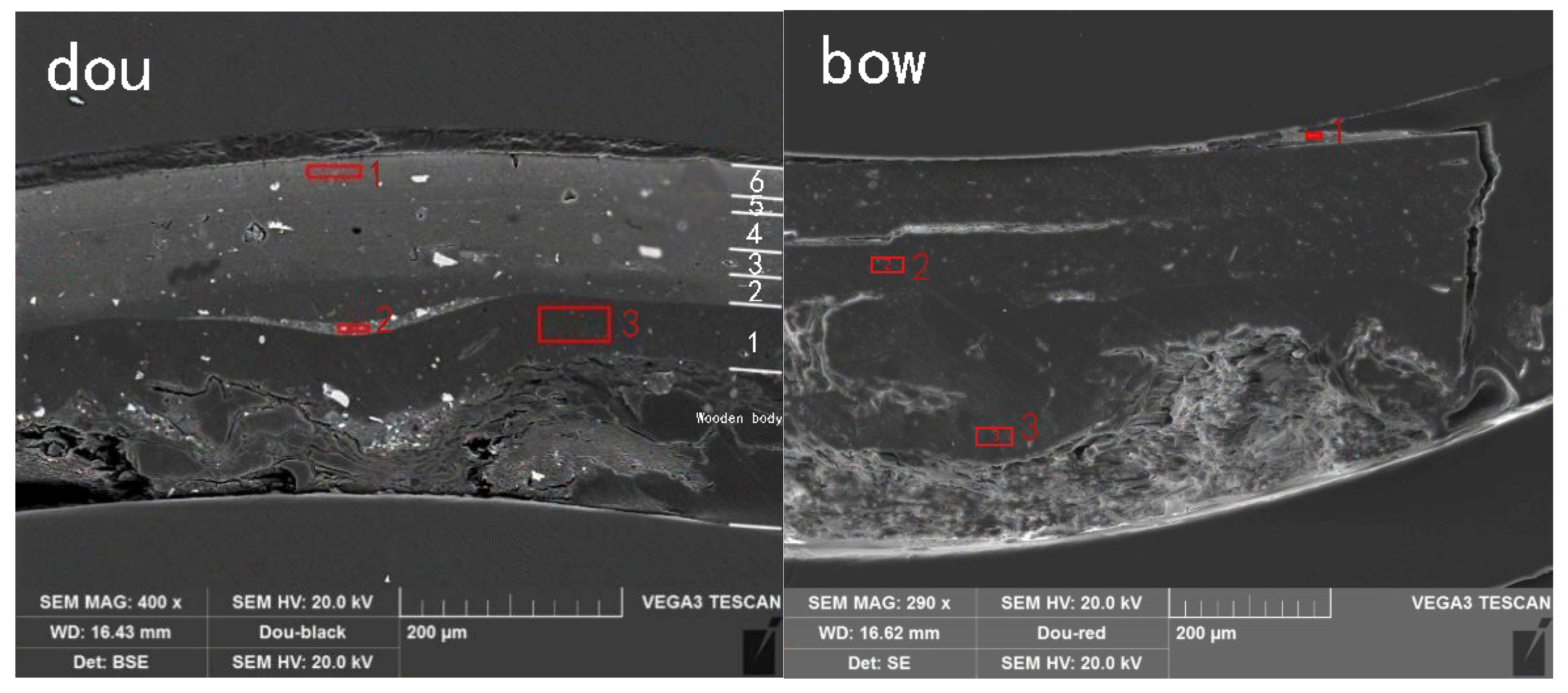 Coatings 14 01559 g005