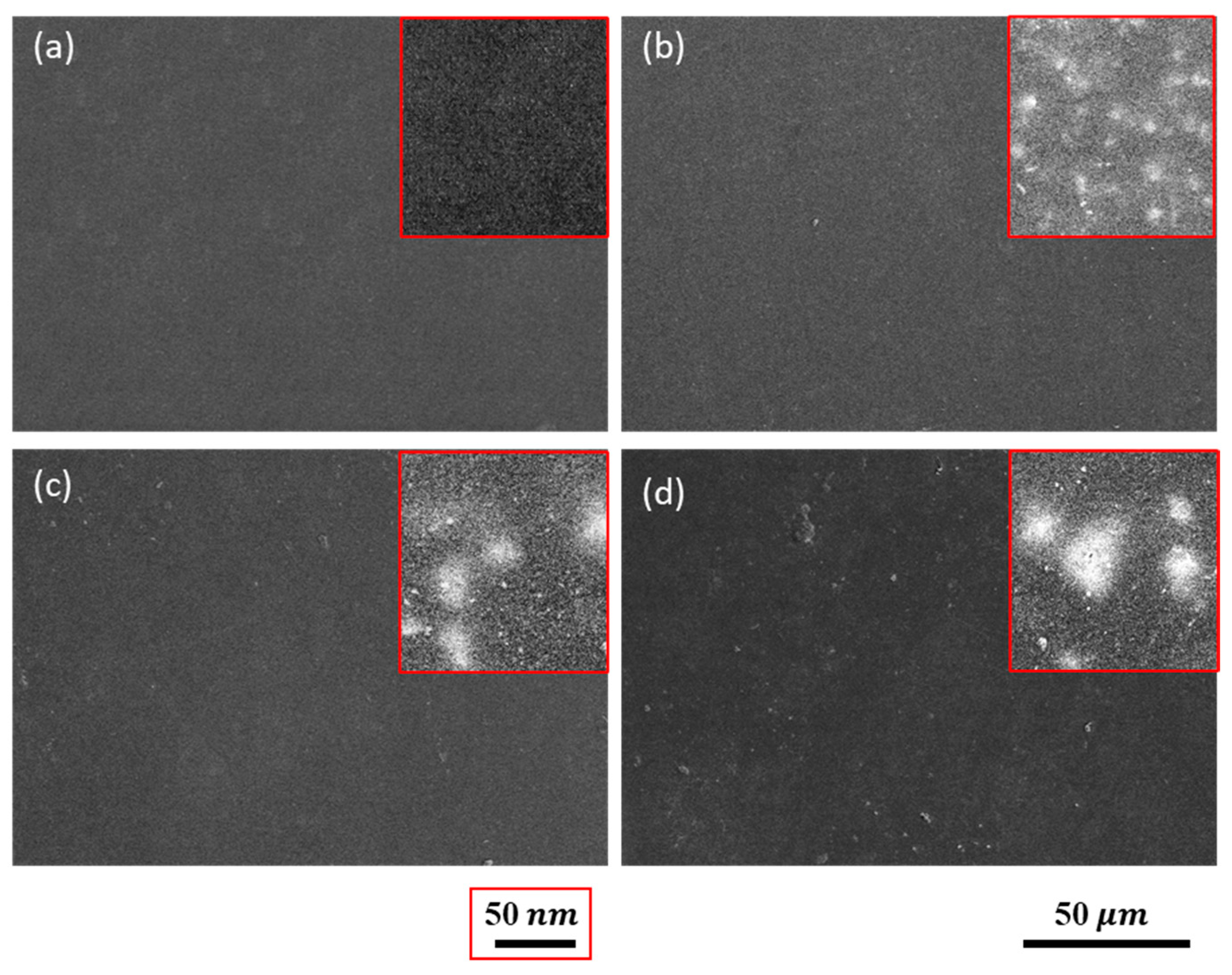 Coatings 14 01562 g002