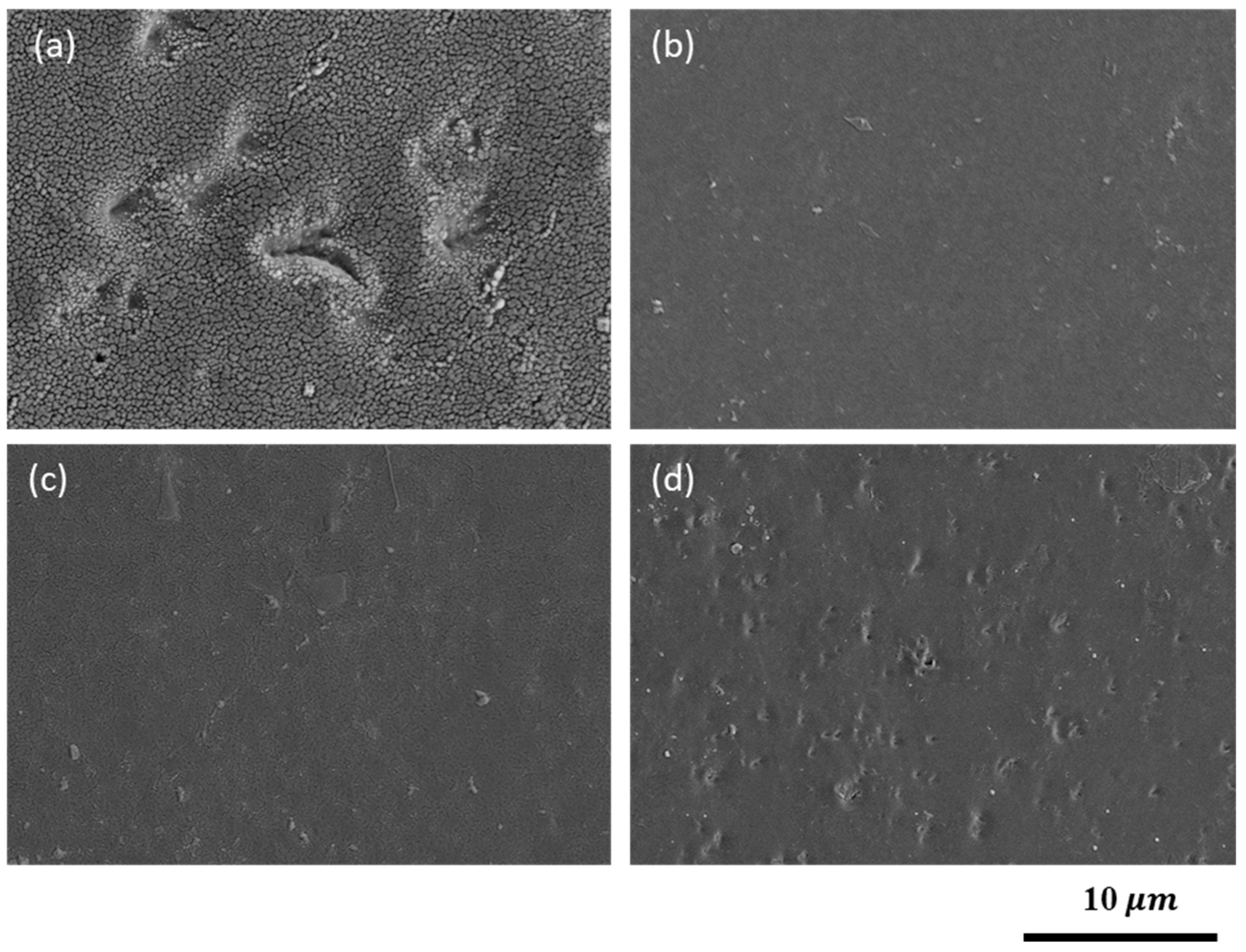 Coatings 14 01562 g004