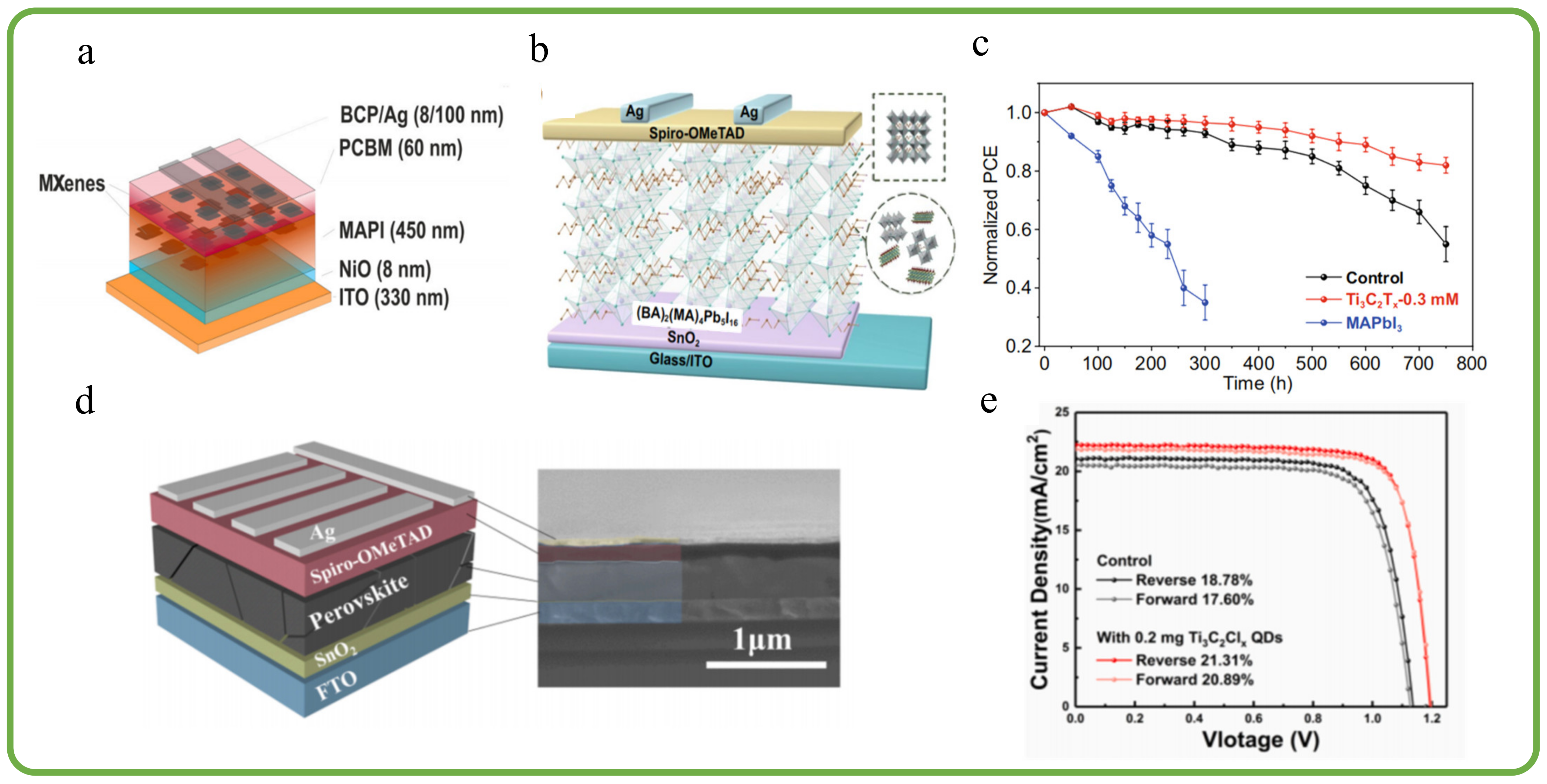 Coatings 14 01564 g008