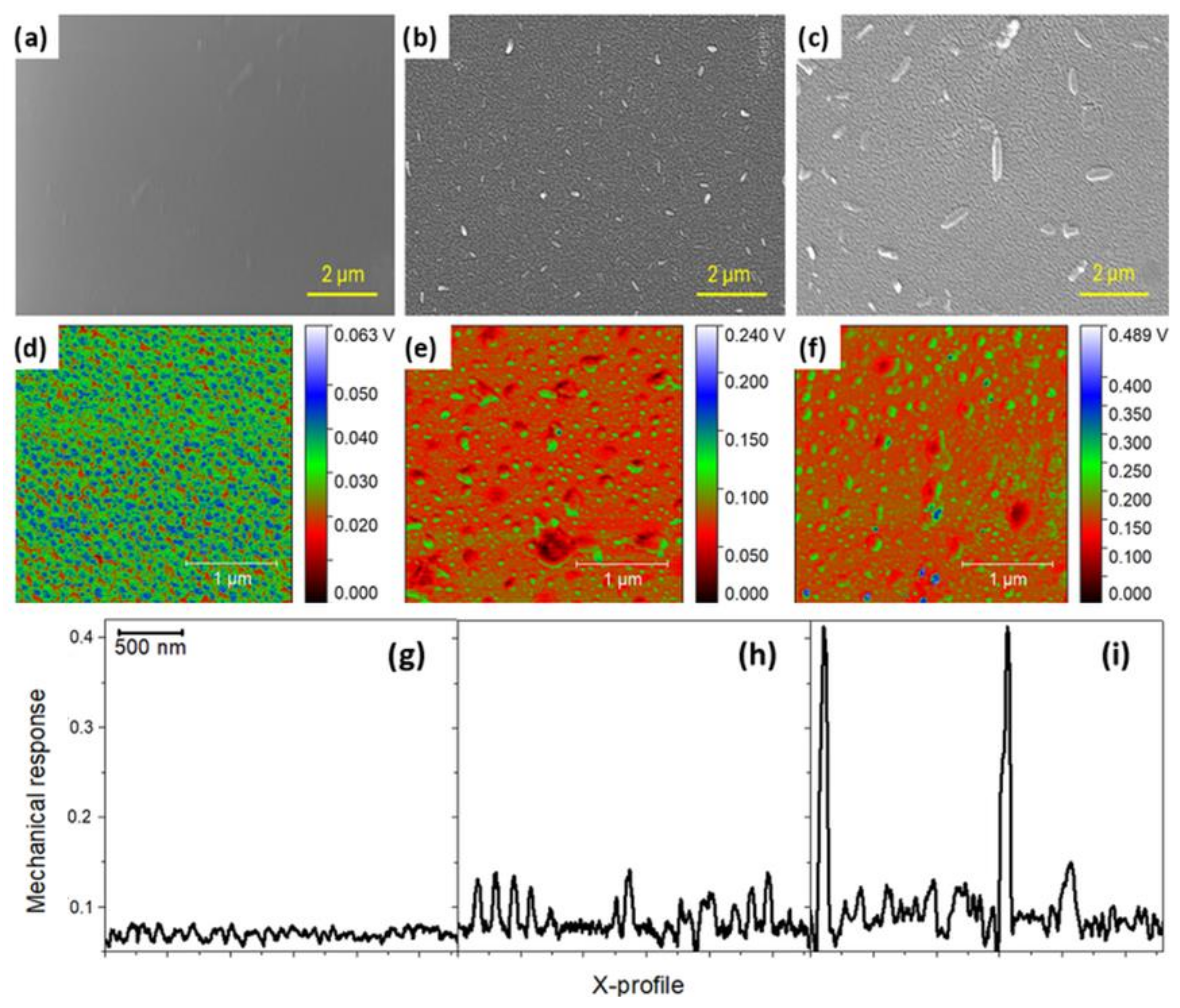 Coatings 14 01565 g004 Coatings 14 01565 g004
