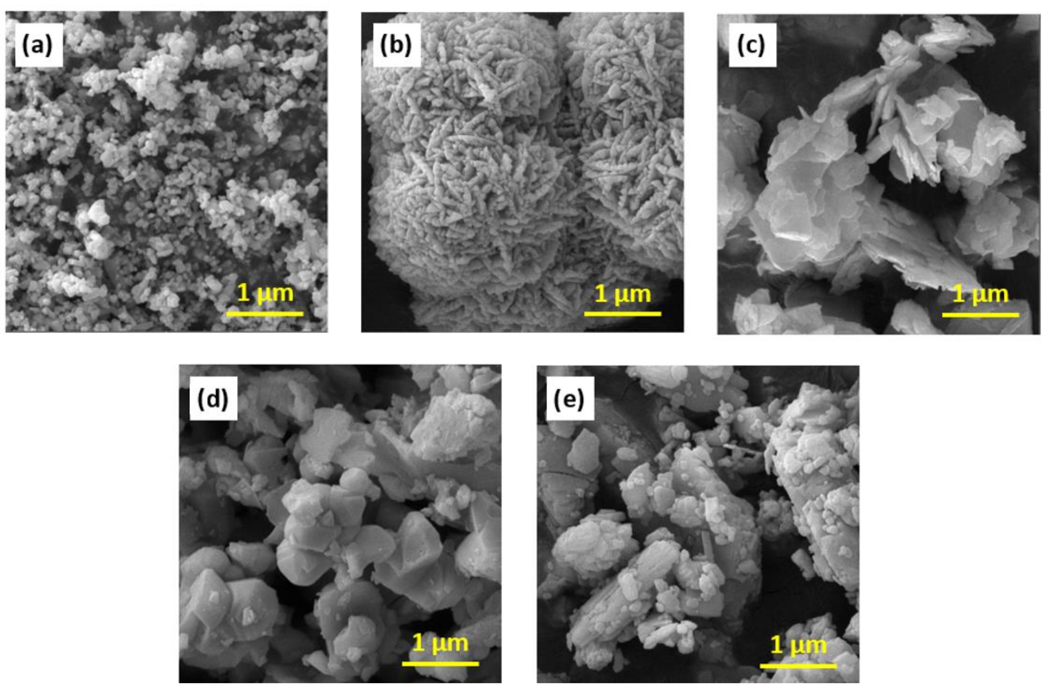 Coatings 14 01565 g005 Coatings 14 01565 g005