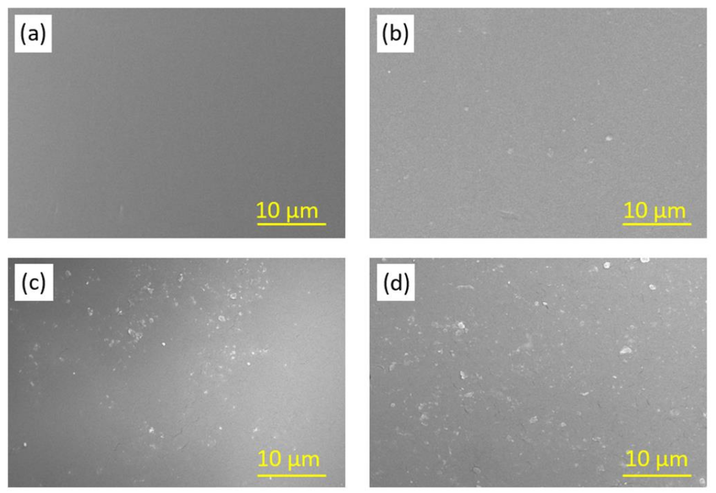 Coatings 14 01565 g007 Coatings 14 01565 g007