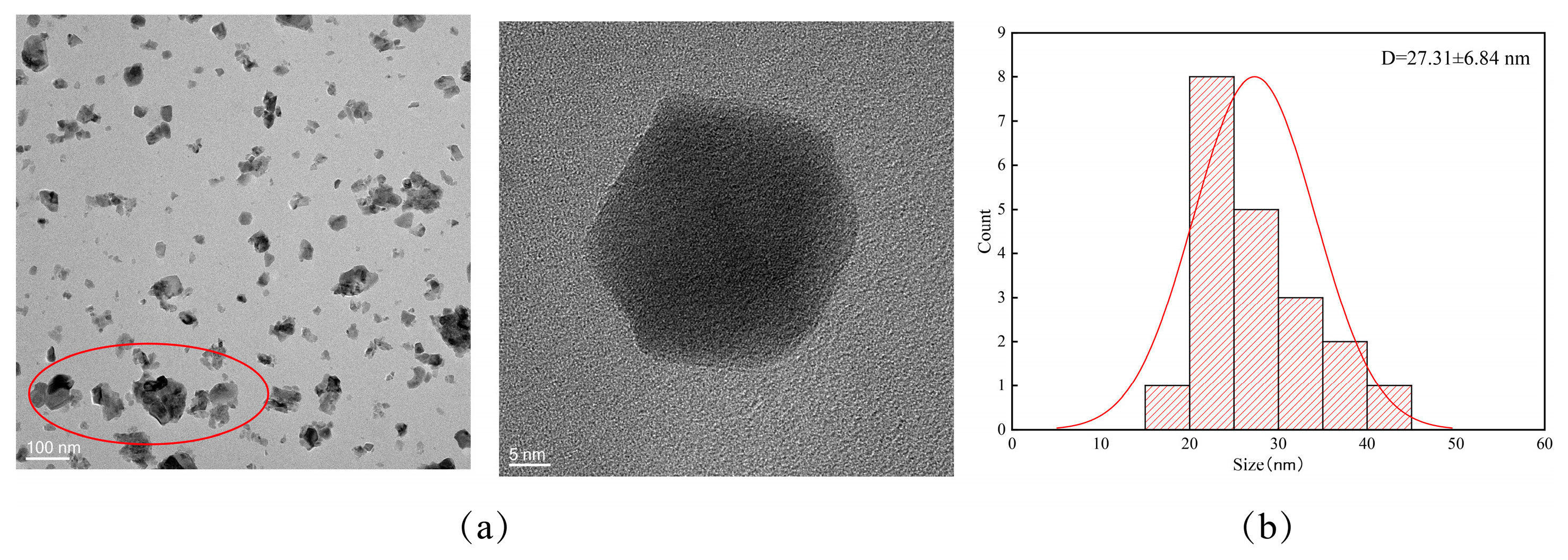Coatings 14 01572 g001