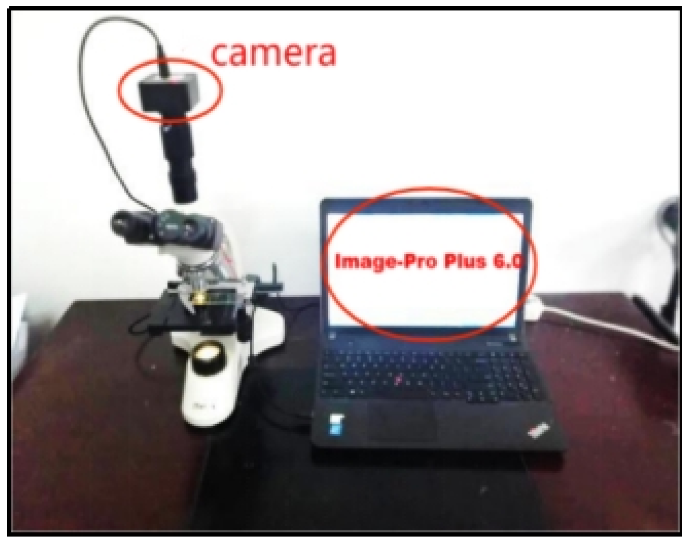 Coatings 14 01573 g001