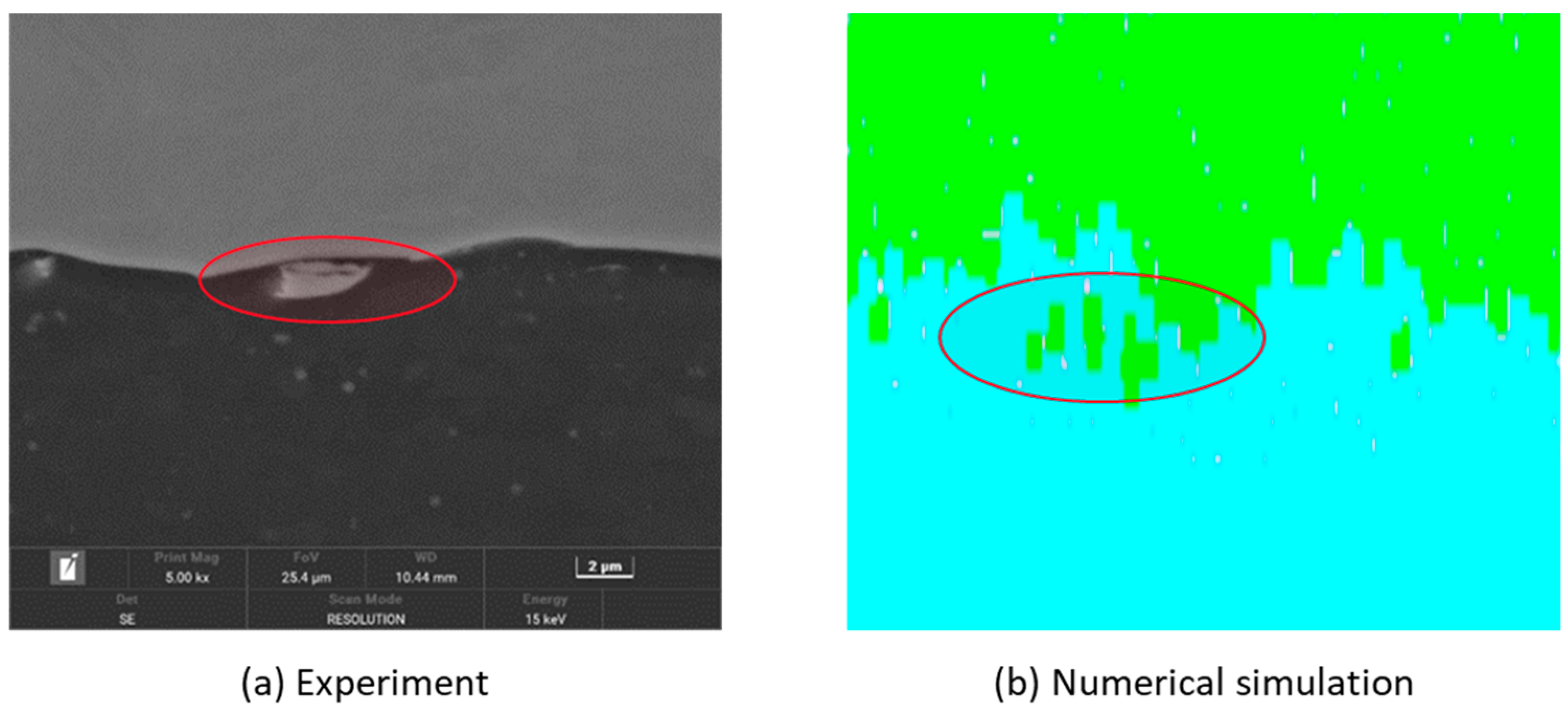 Coatings 14 01574 g016