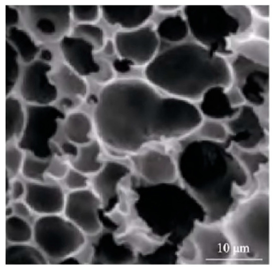 Application Prospect of Multifunctional Hydrogel Coating in