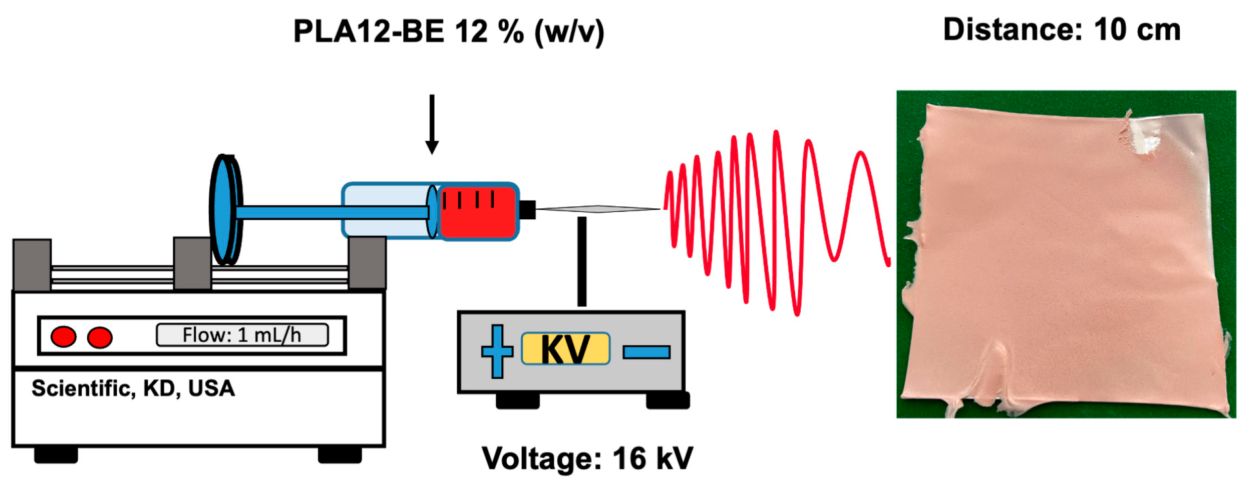 Coatings 14 01581 g001