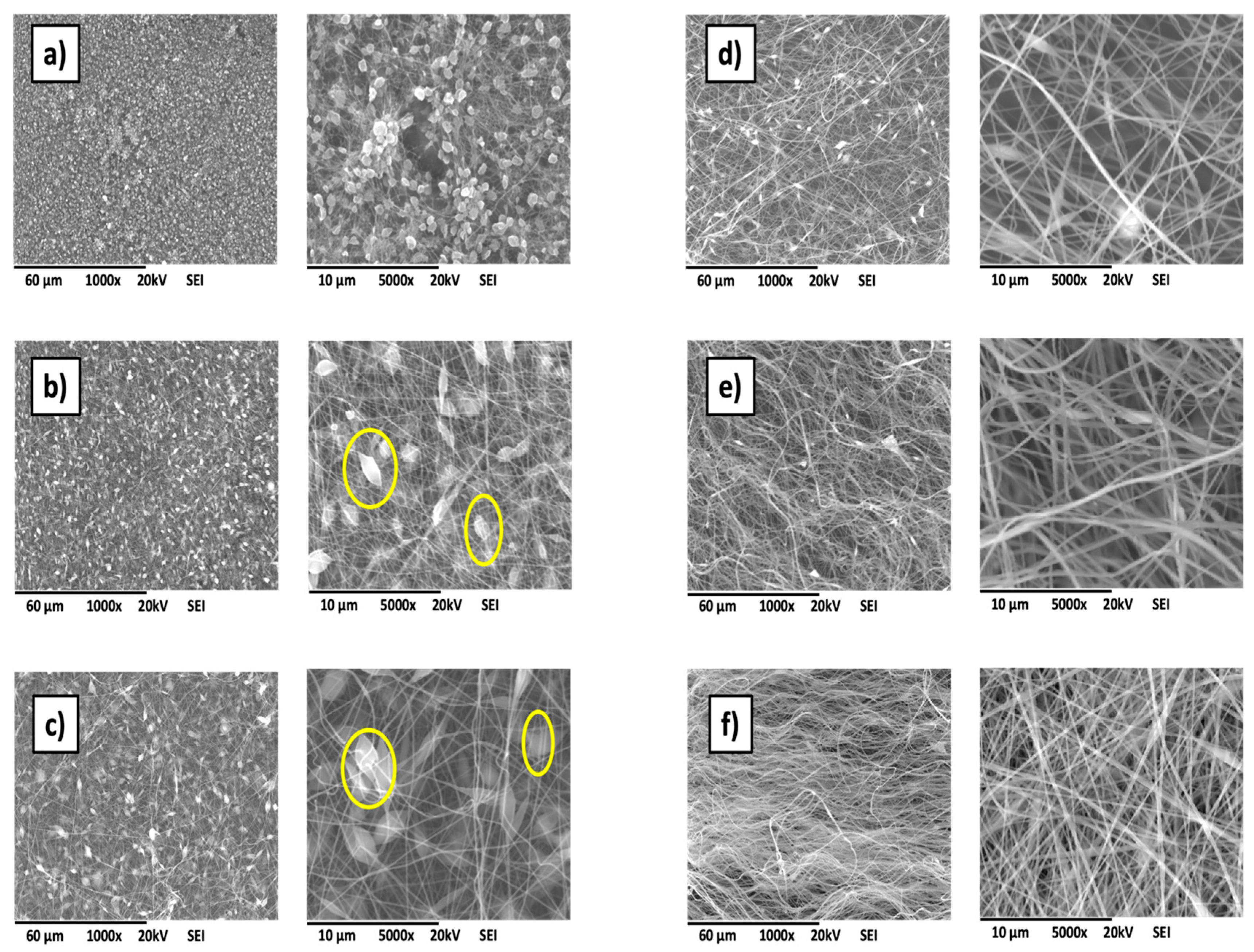 Coatings 14 01581 g003