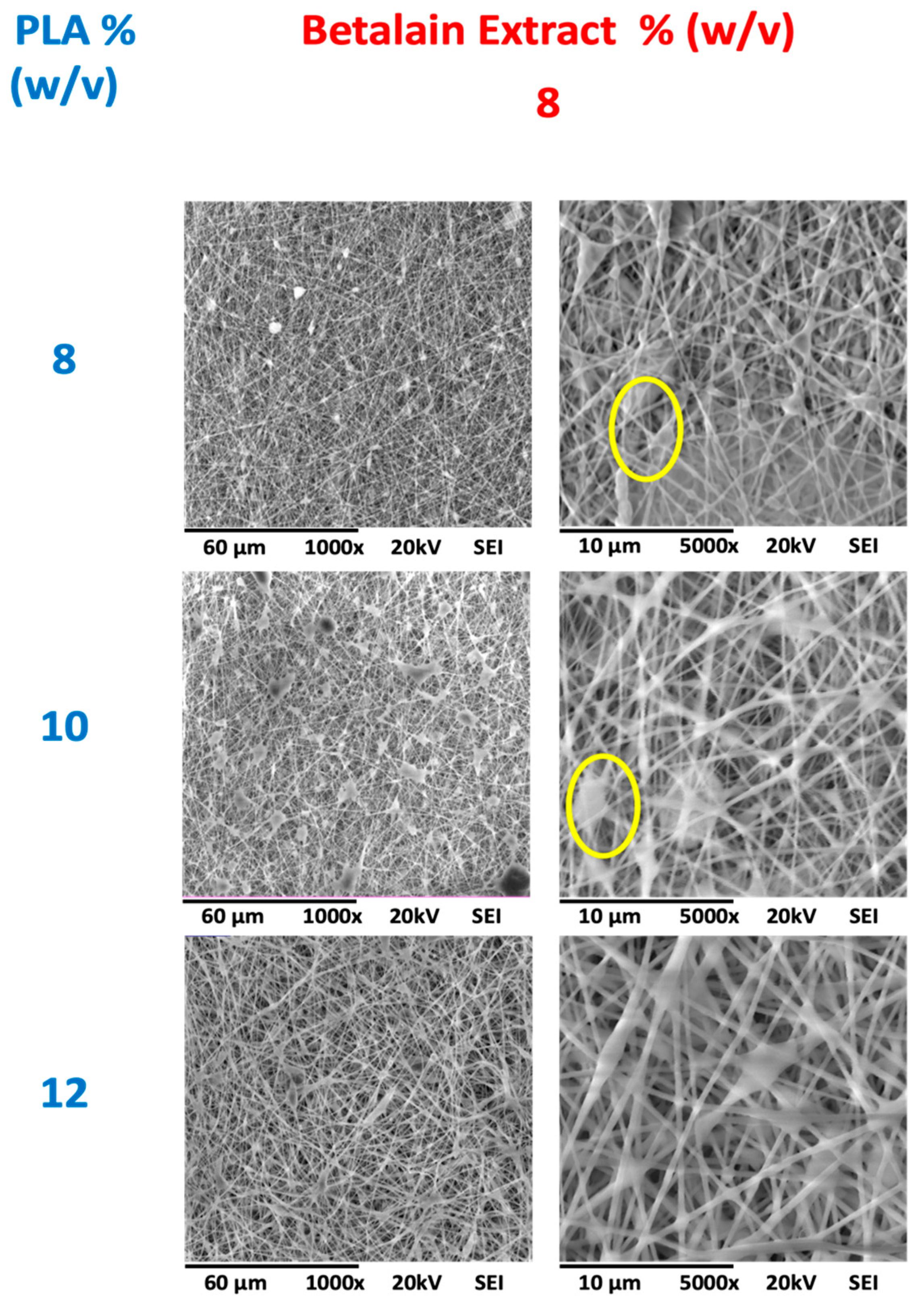 Coatings 14 01581 g004