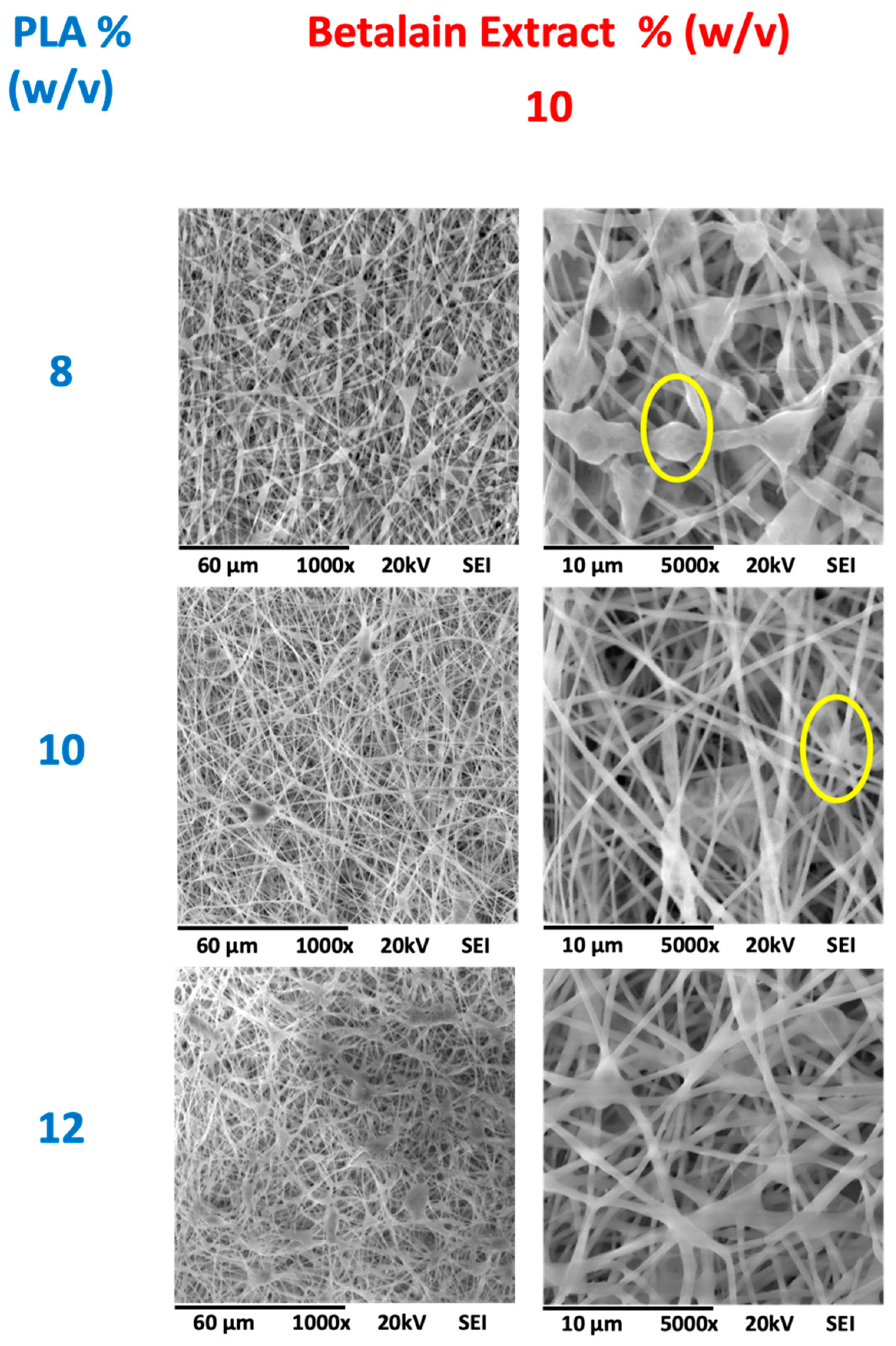 Coatings 14 01581 g005