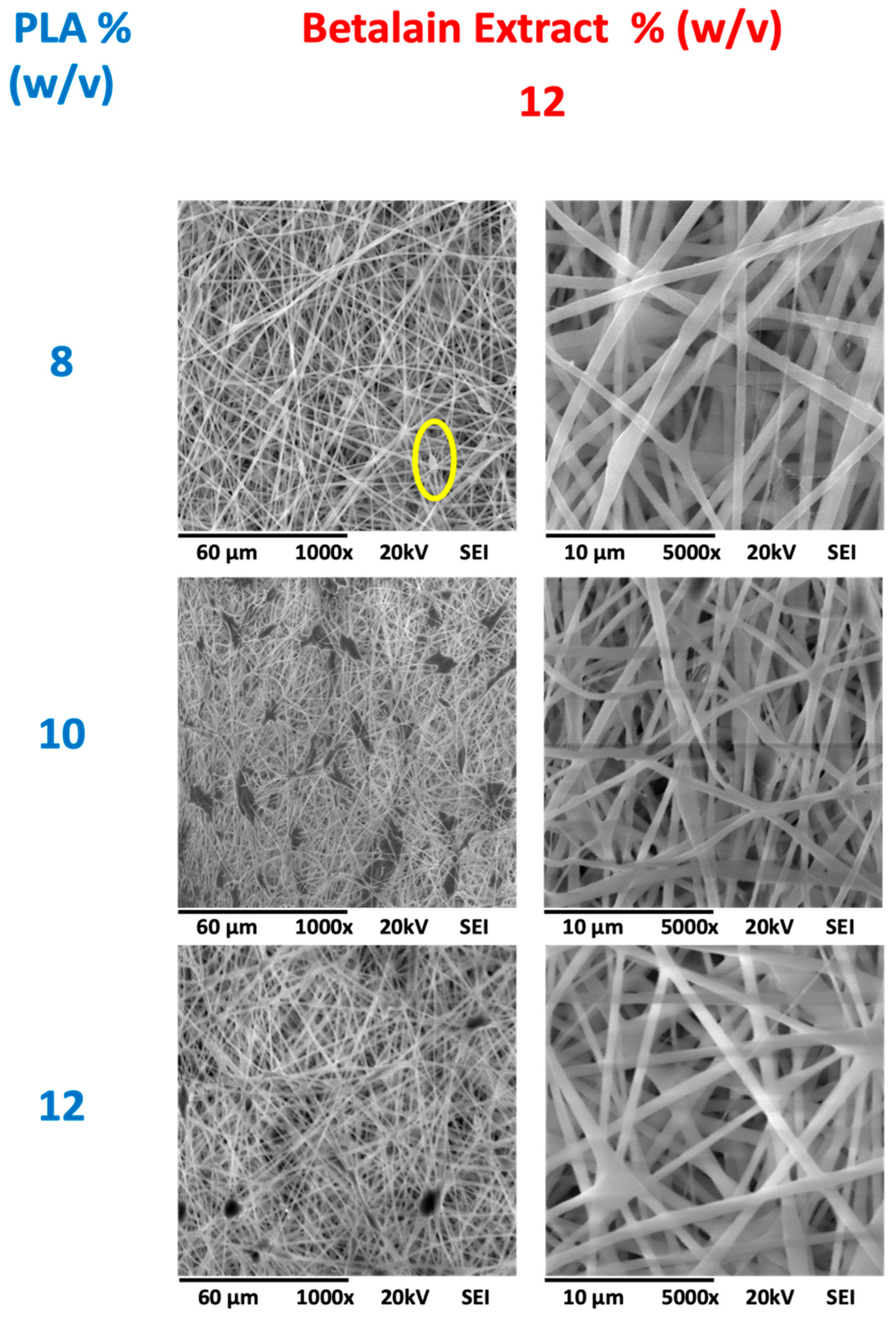 Coatings 14 01581 g006