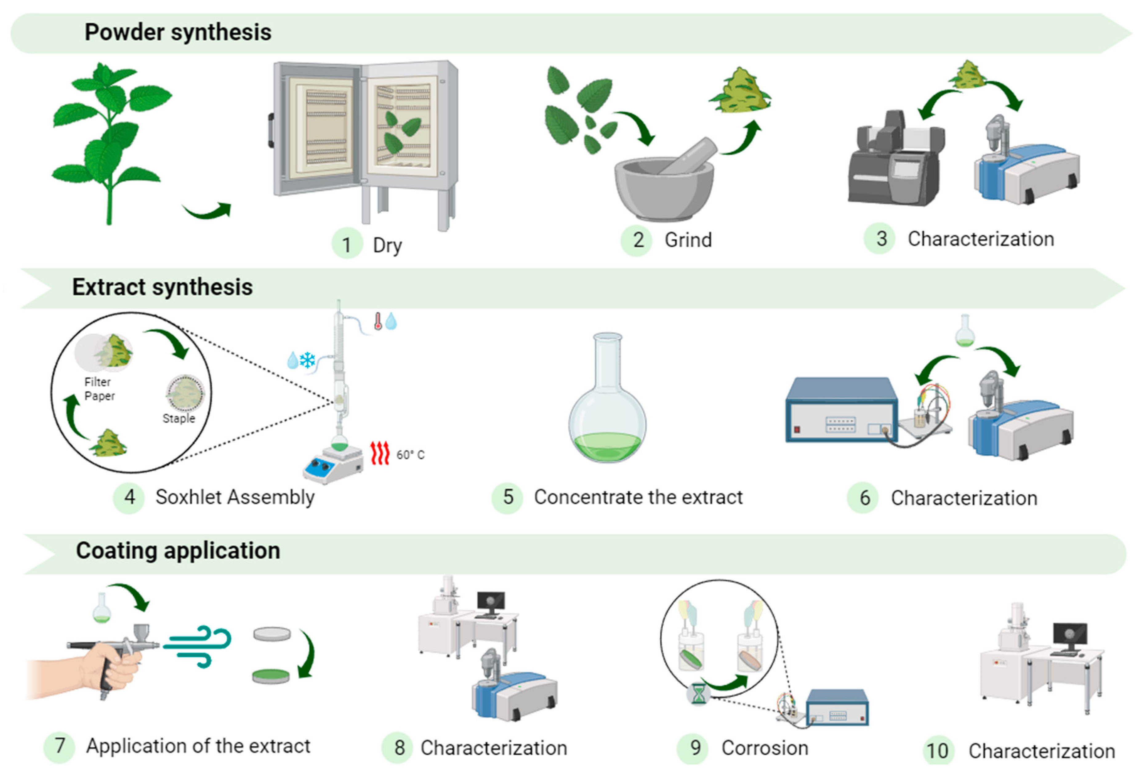 Coatings 14 01582 g001
