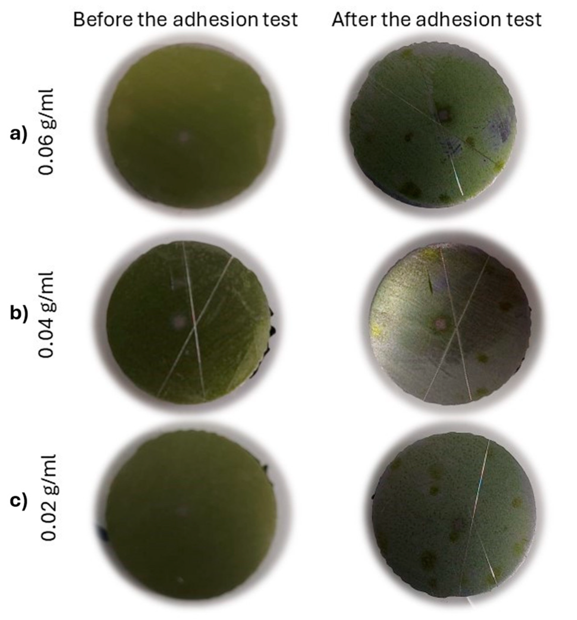 Coatings 14 01582 g008