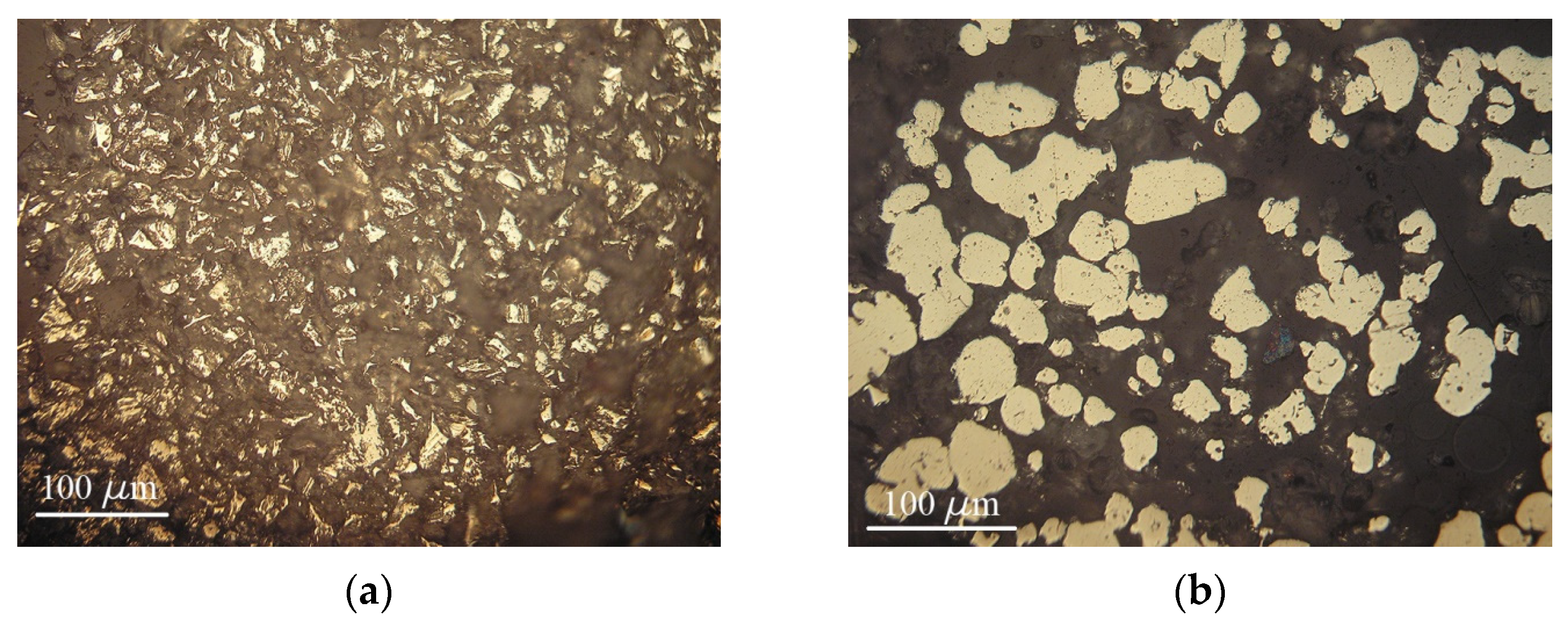 Coatings 14 01584 g003