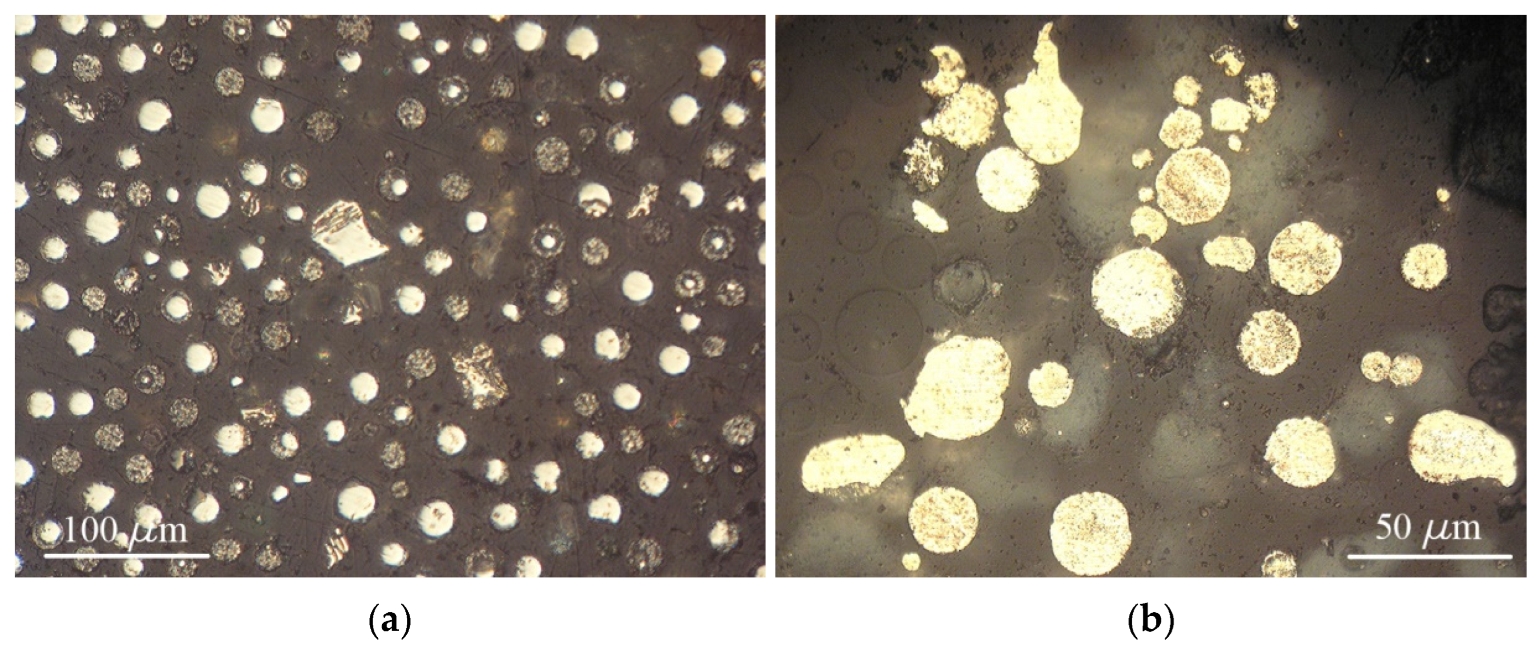 Coatings 14 01584 g007