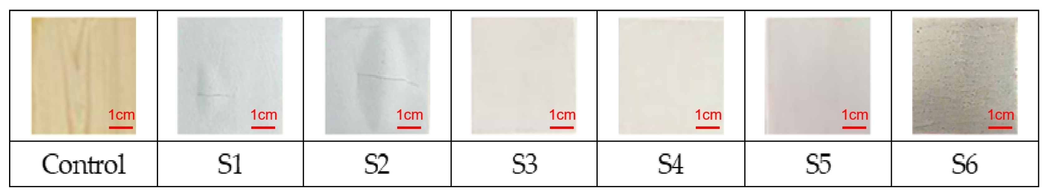 Coatings 14 01585 g002