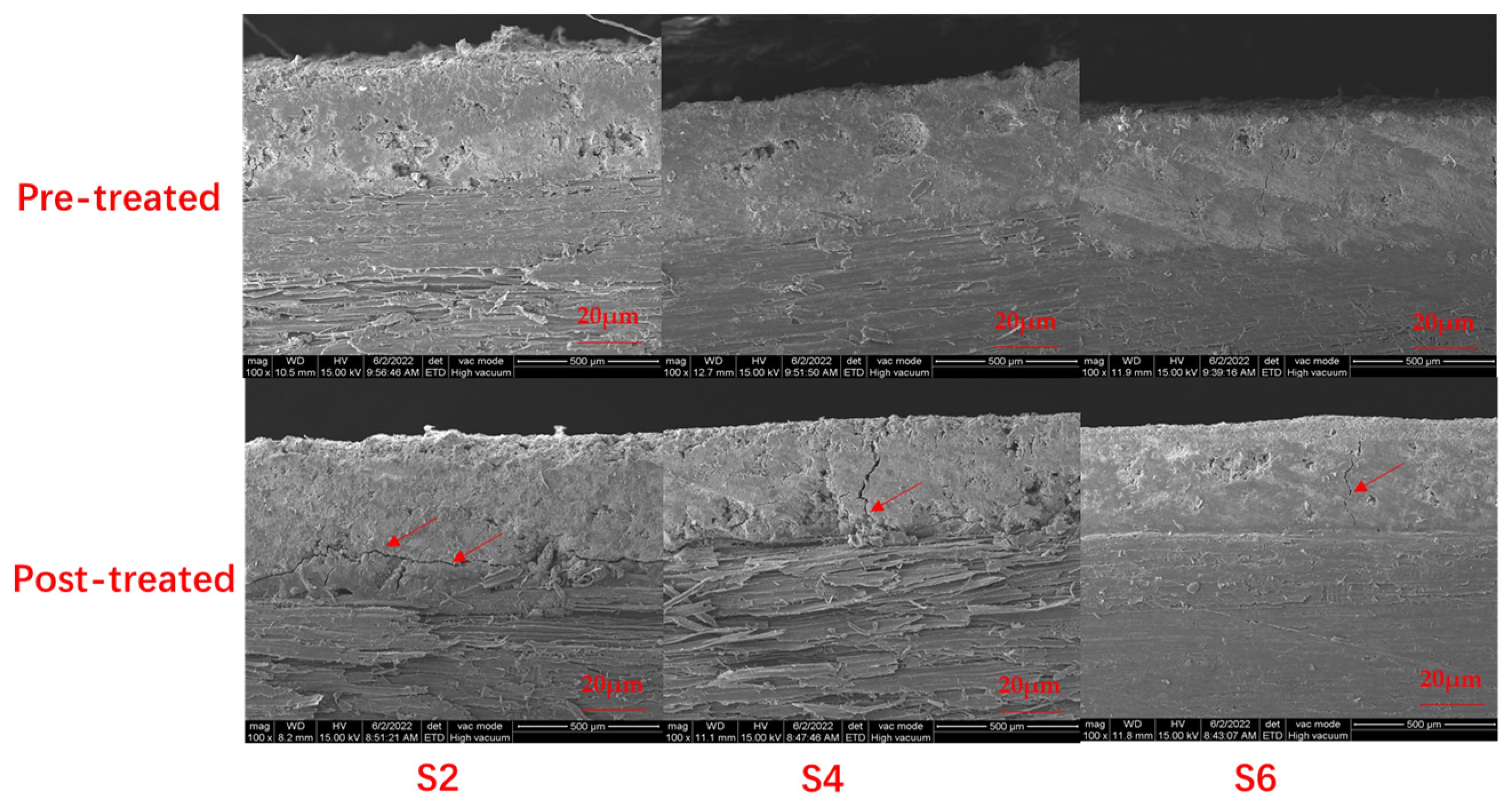 Coatings 14 01585 g008