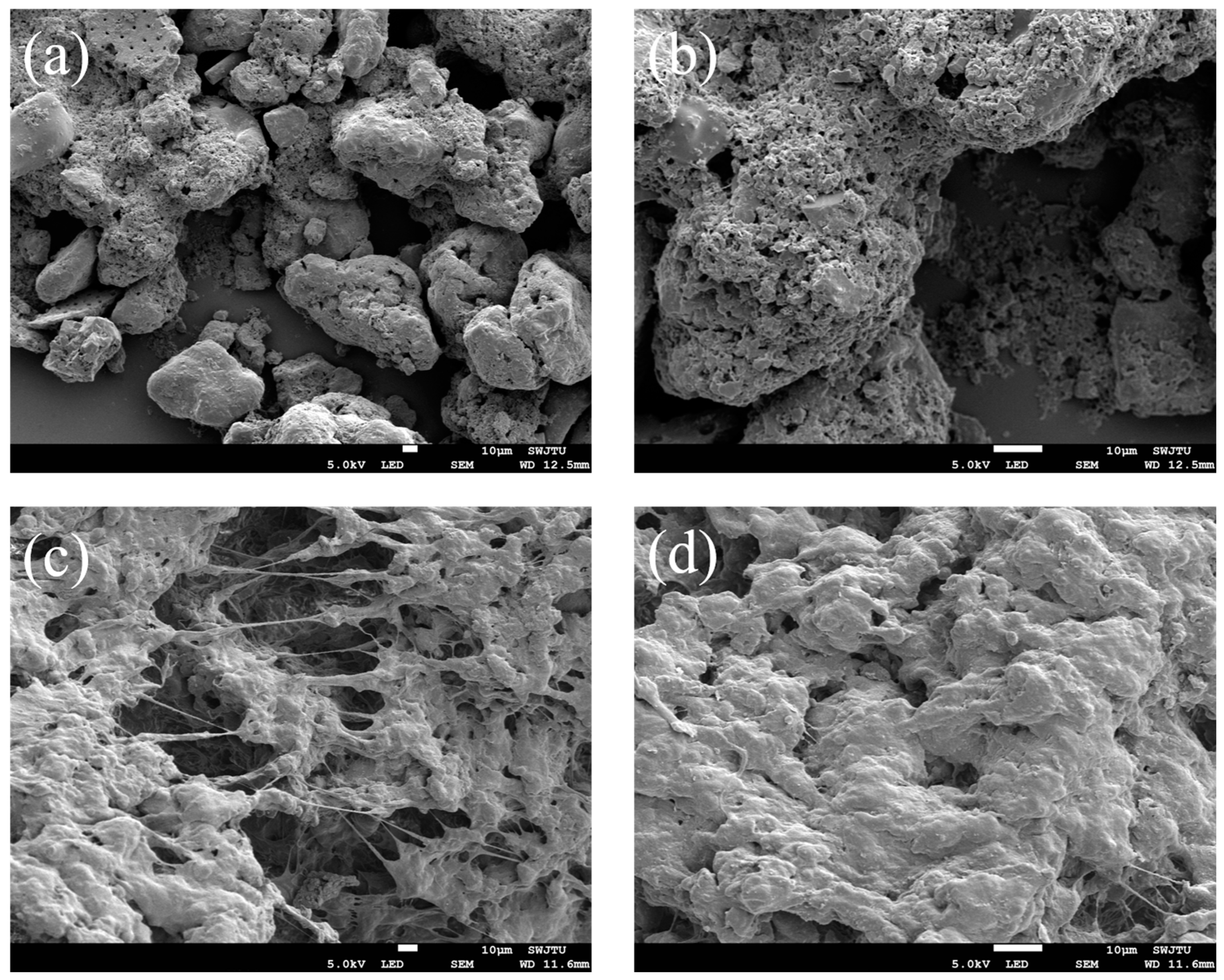 Coatings 14 01589 g003