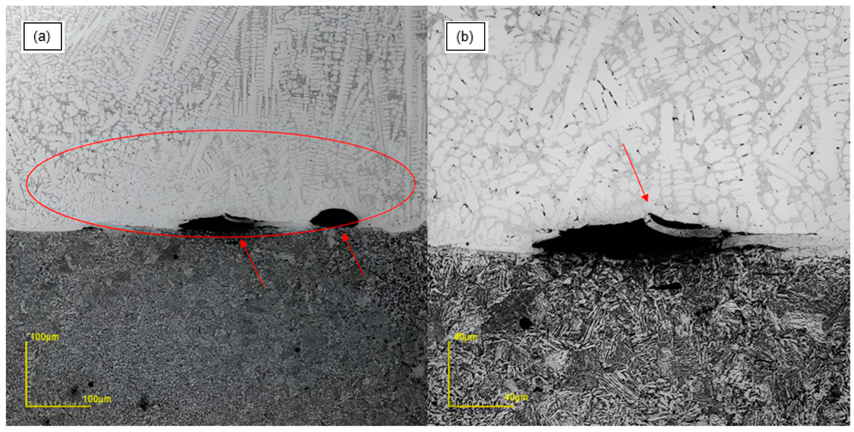Coatings 14 01591 g001